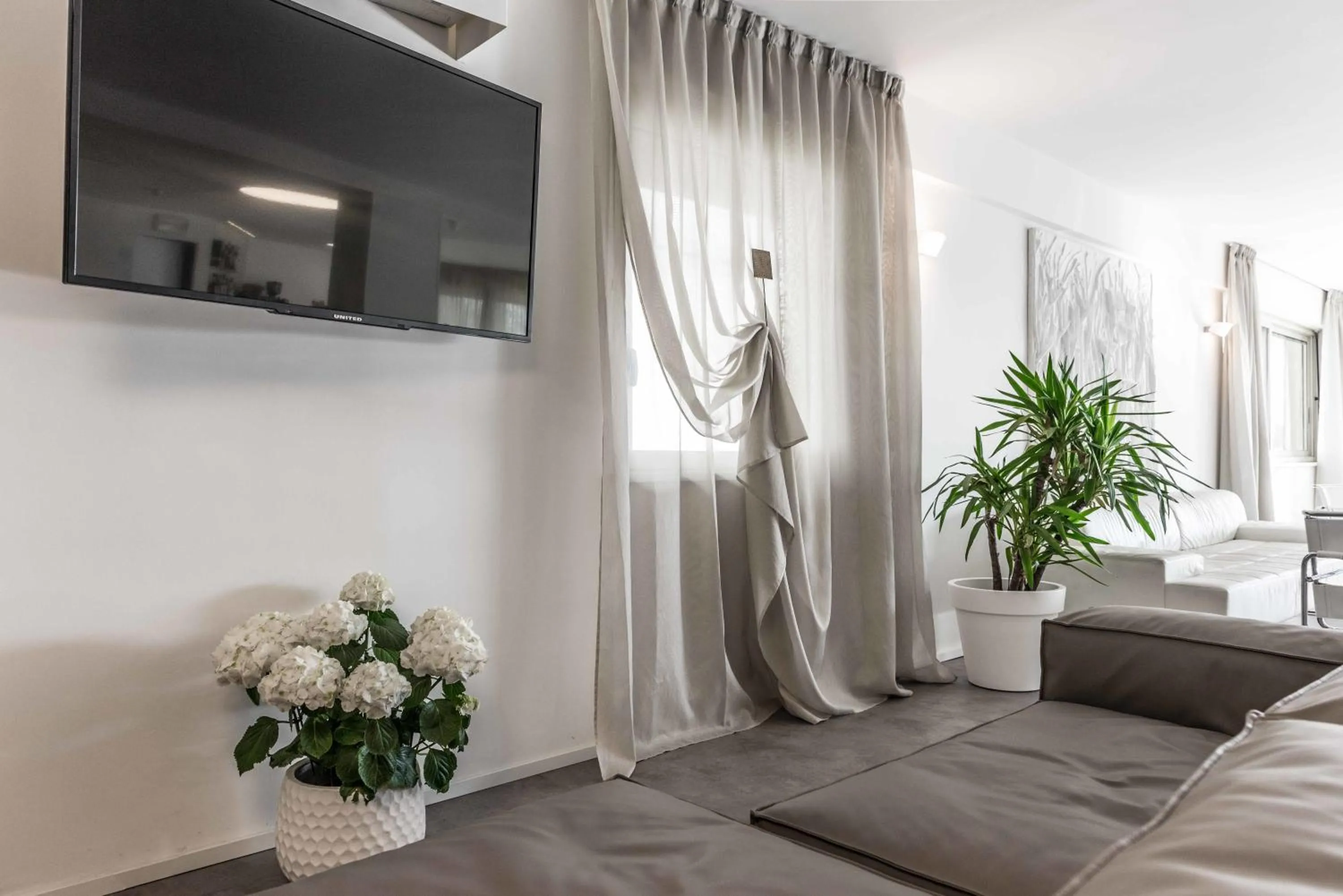 TV and multimedia in Hotel Commodore