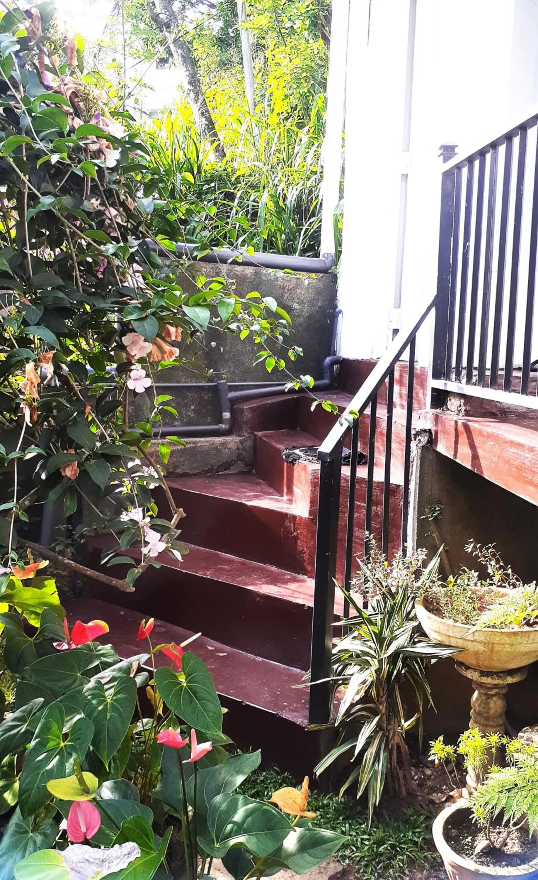 Kandy Mountain Cottage