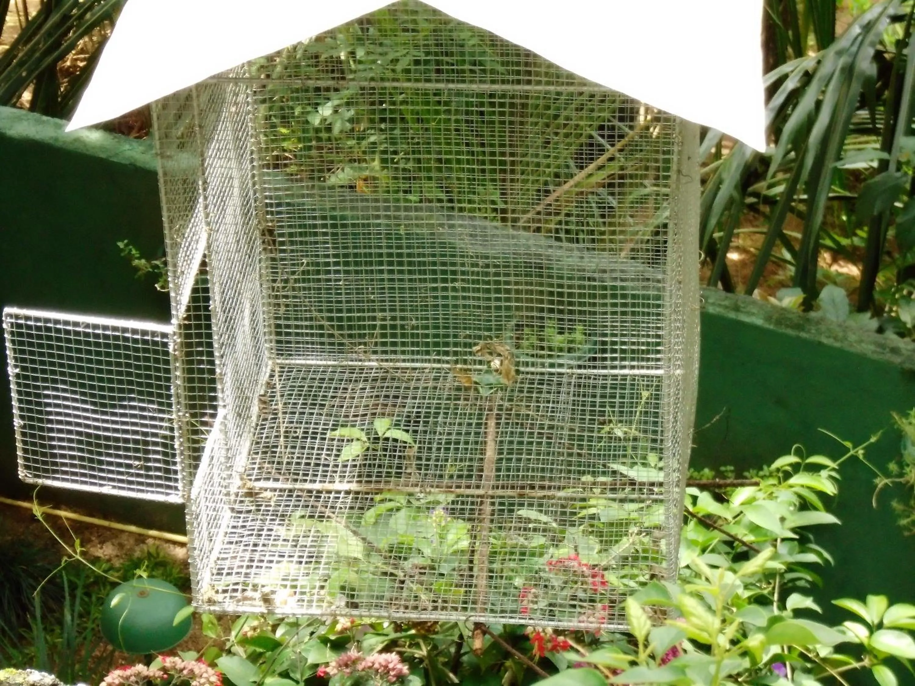 Kandy Mountain Cottage