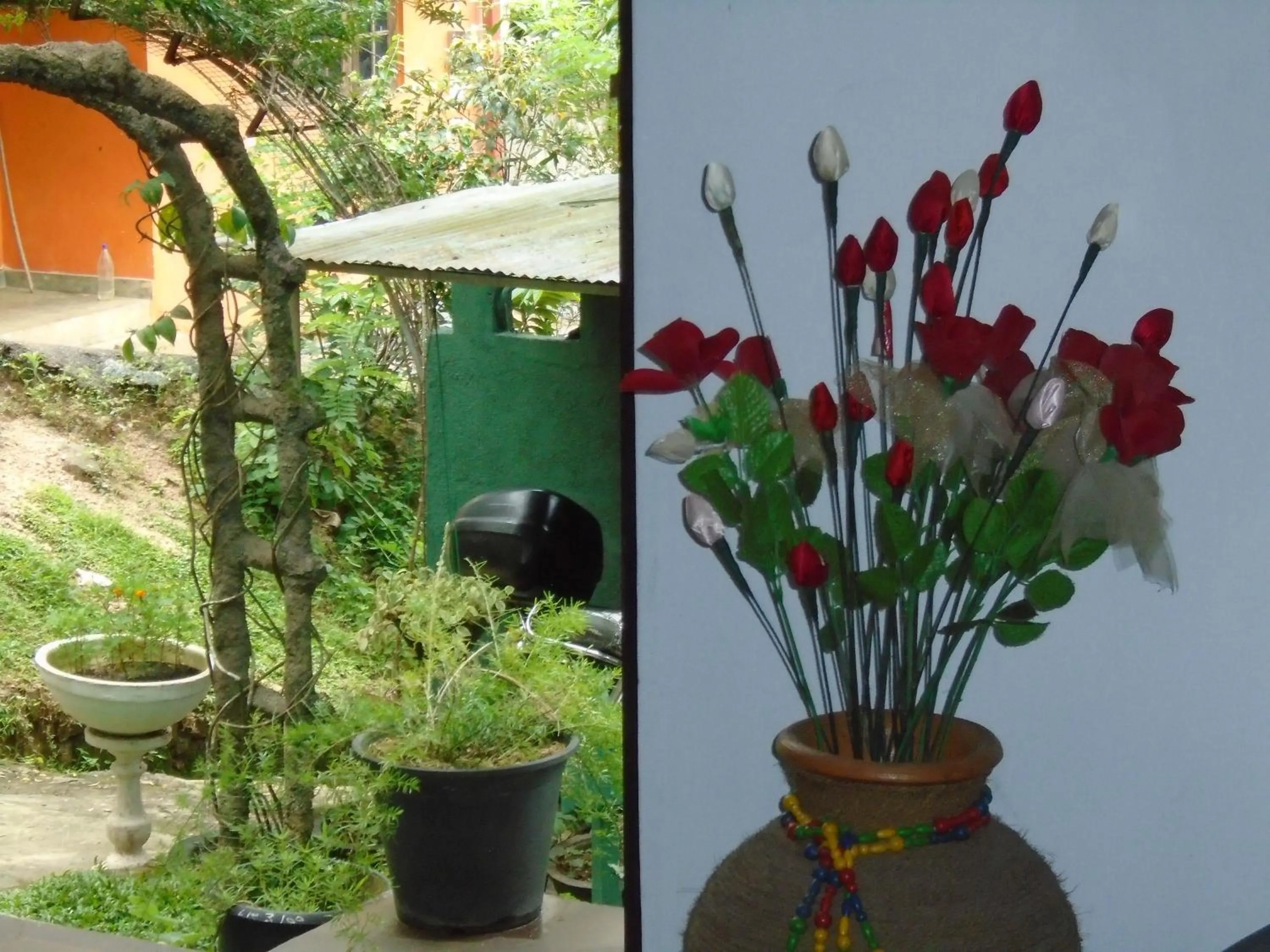 Kandy Mountain Cottage