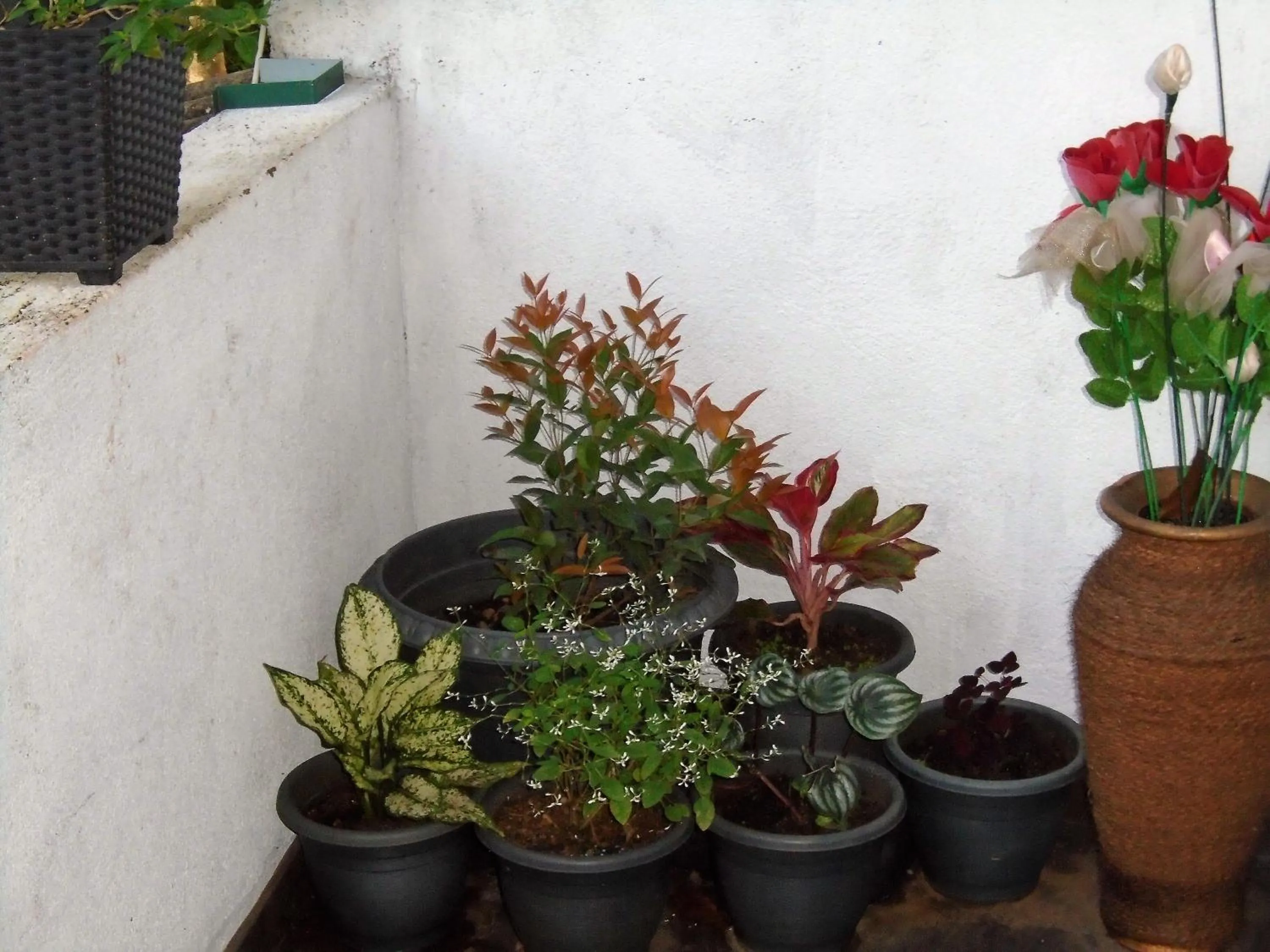 Kandy Mountain Cottage