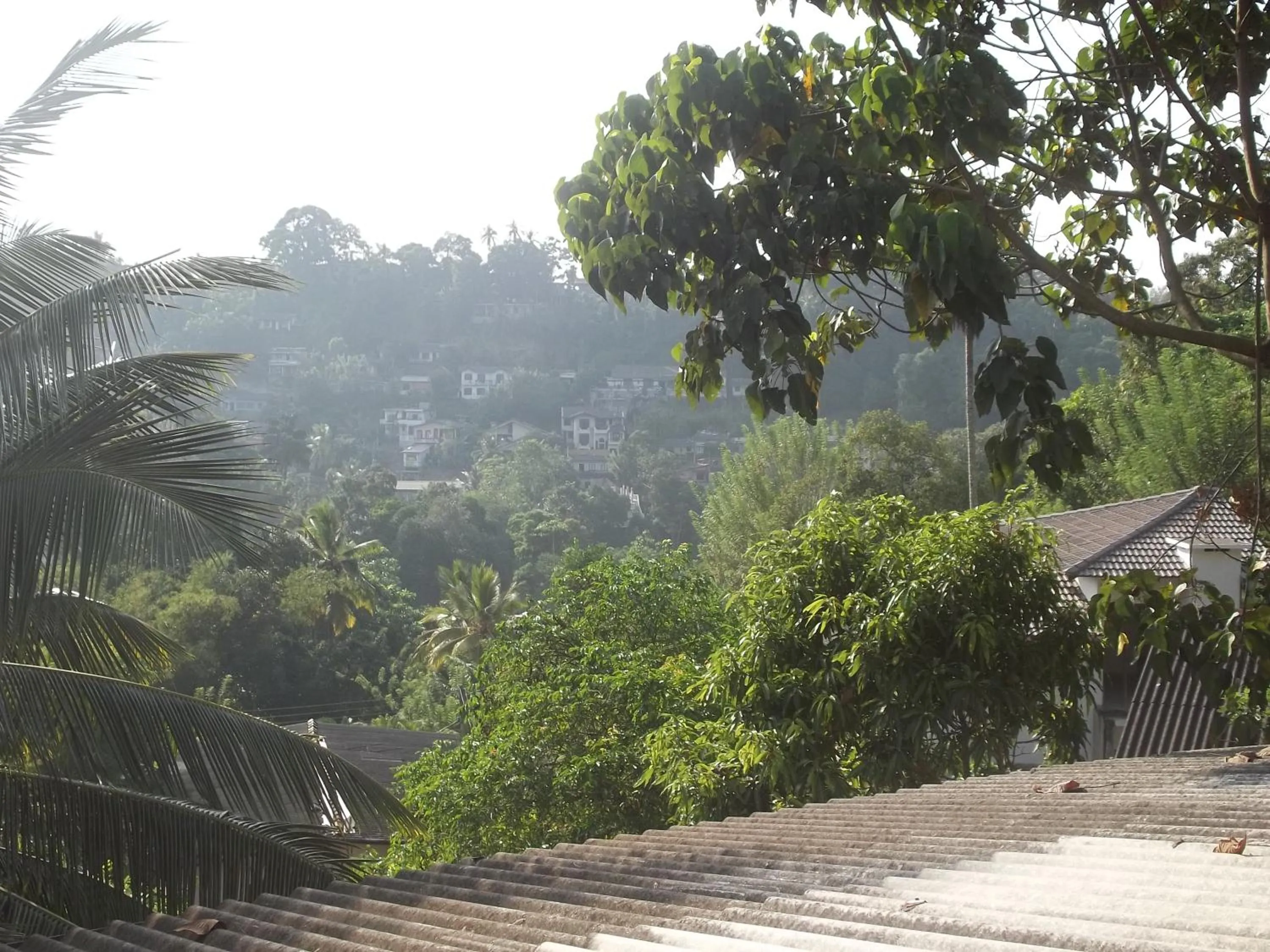 Kandy Mountain Cottage