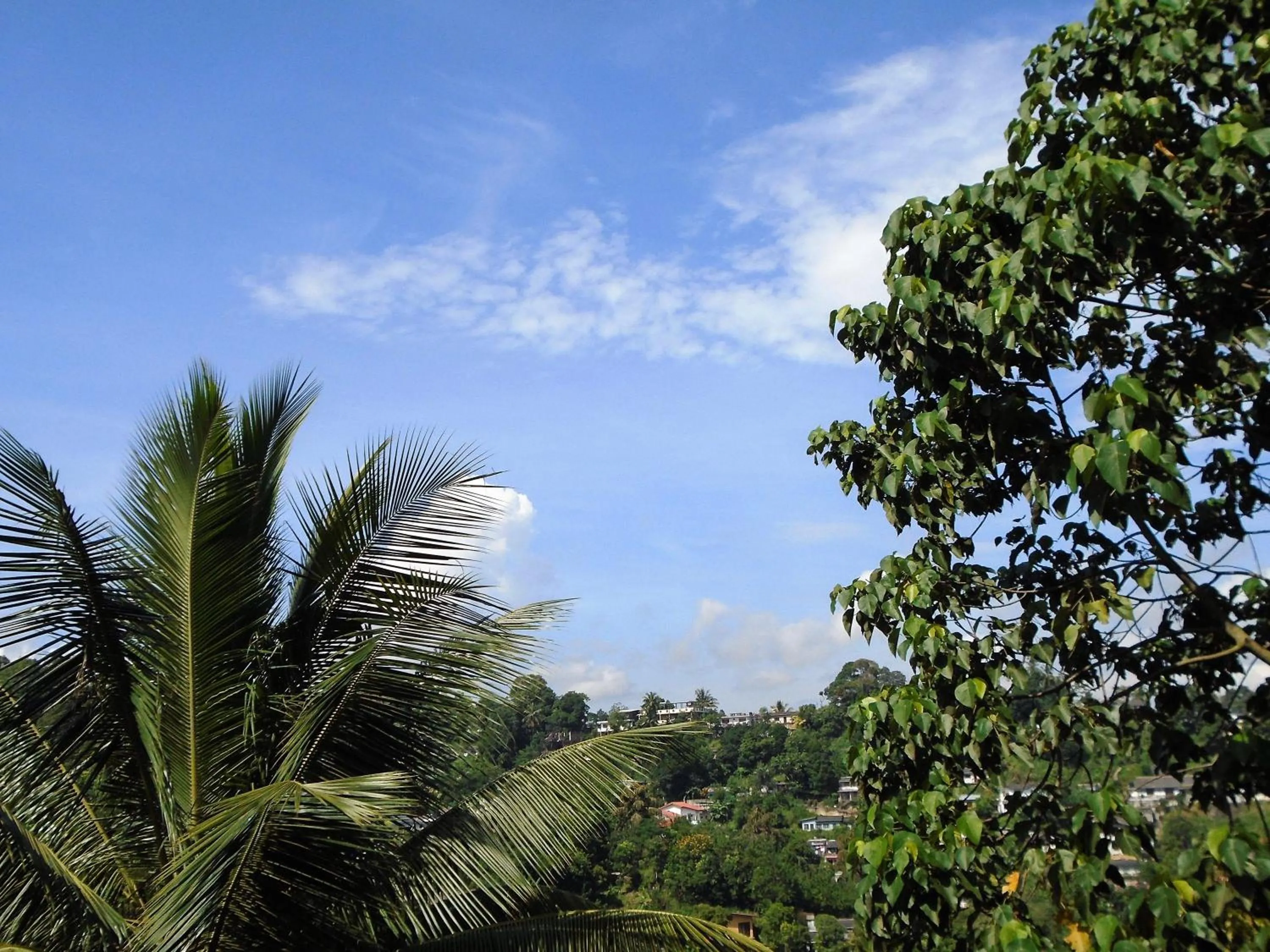 Kandy Mountain Cottage