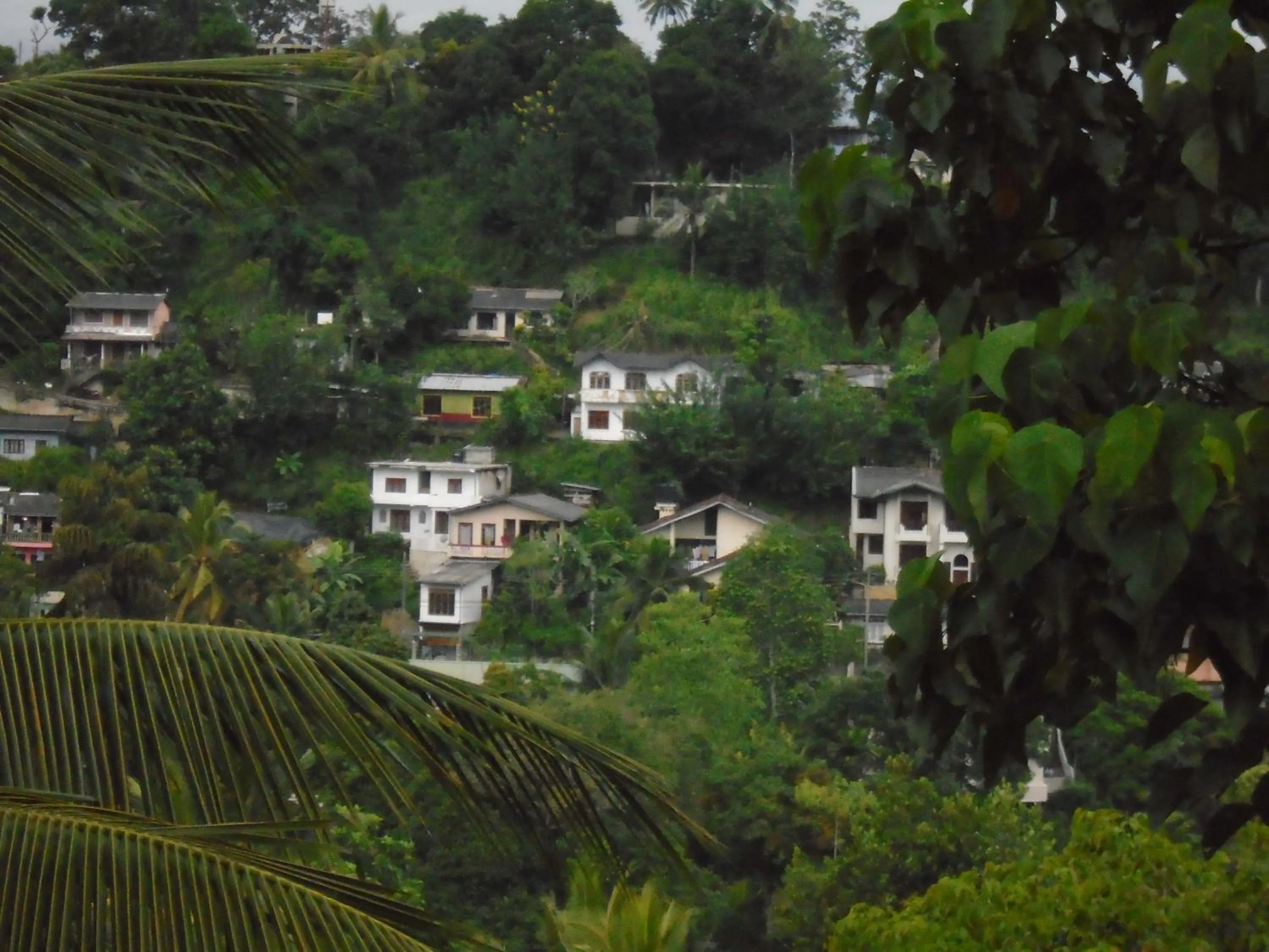 Kandy Mountain Cottage