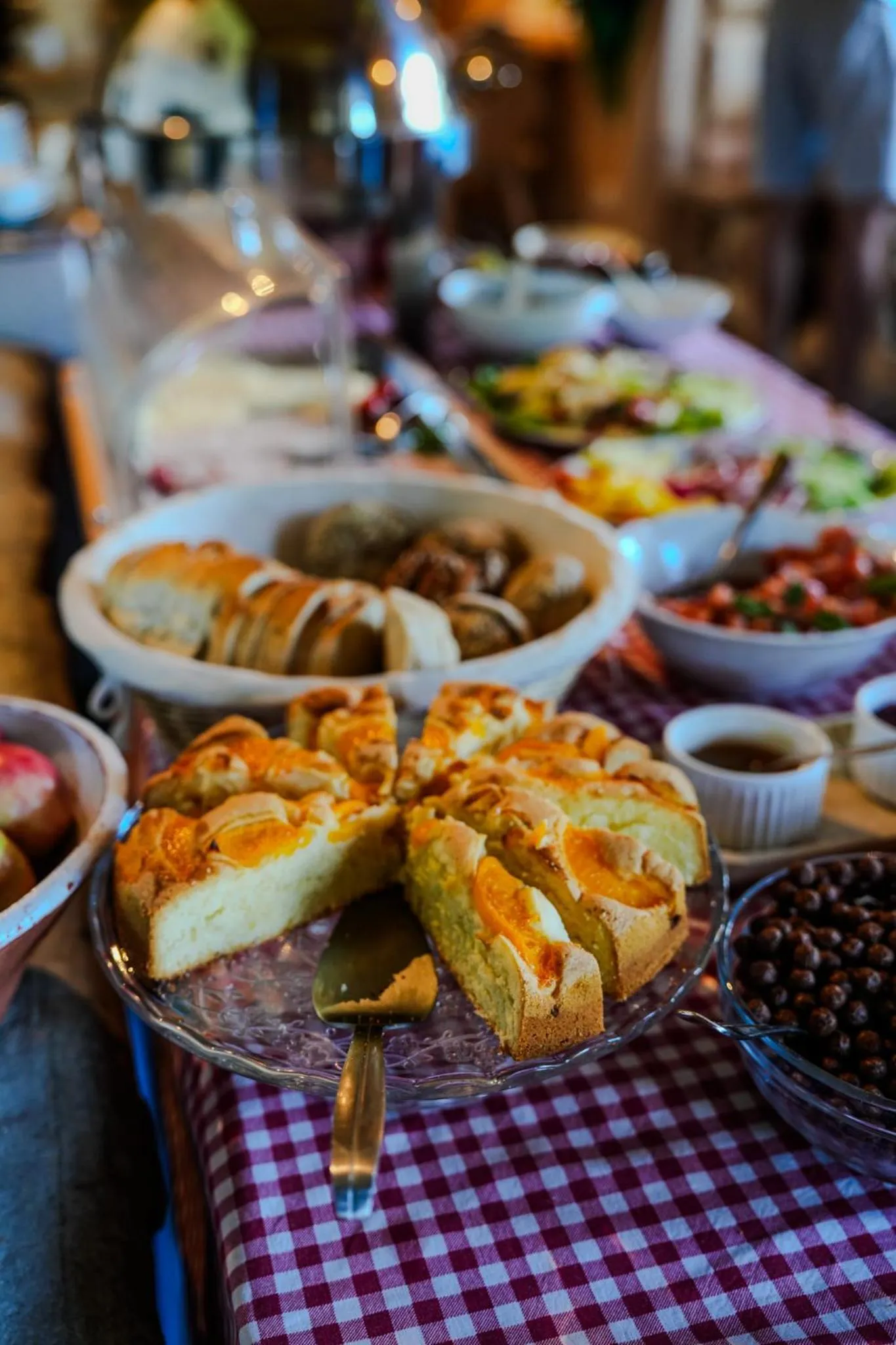 Villa Miodula- zwierzęta akceptowane bezpłatnie, bezpośredni widok na góry, parking w cenie!