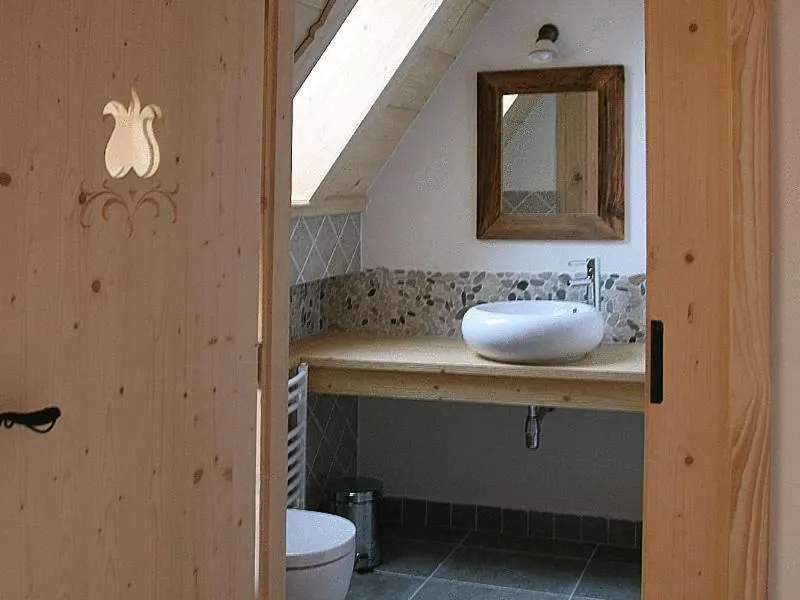 Bathroom in Villa Miodula- zwierzęta akceptowane bezpłatnie, bezpośredni widok na góry, parking w cenie!