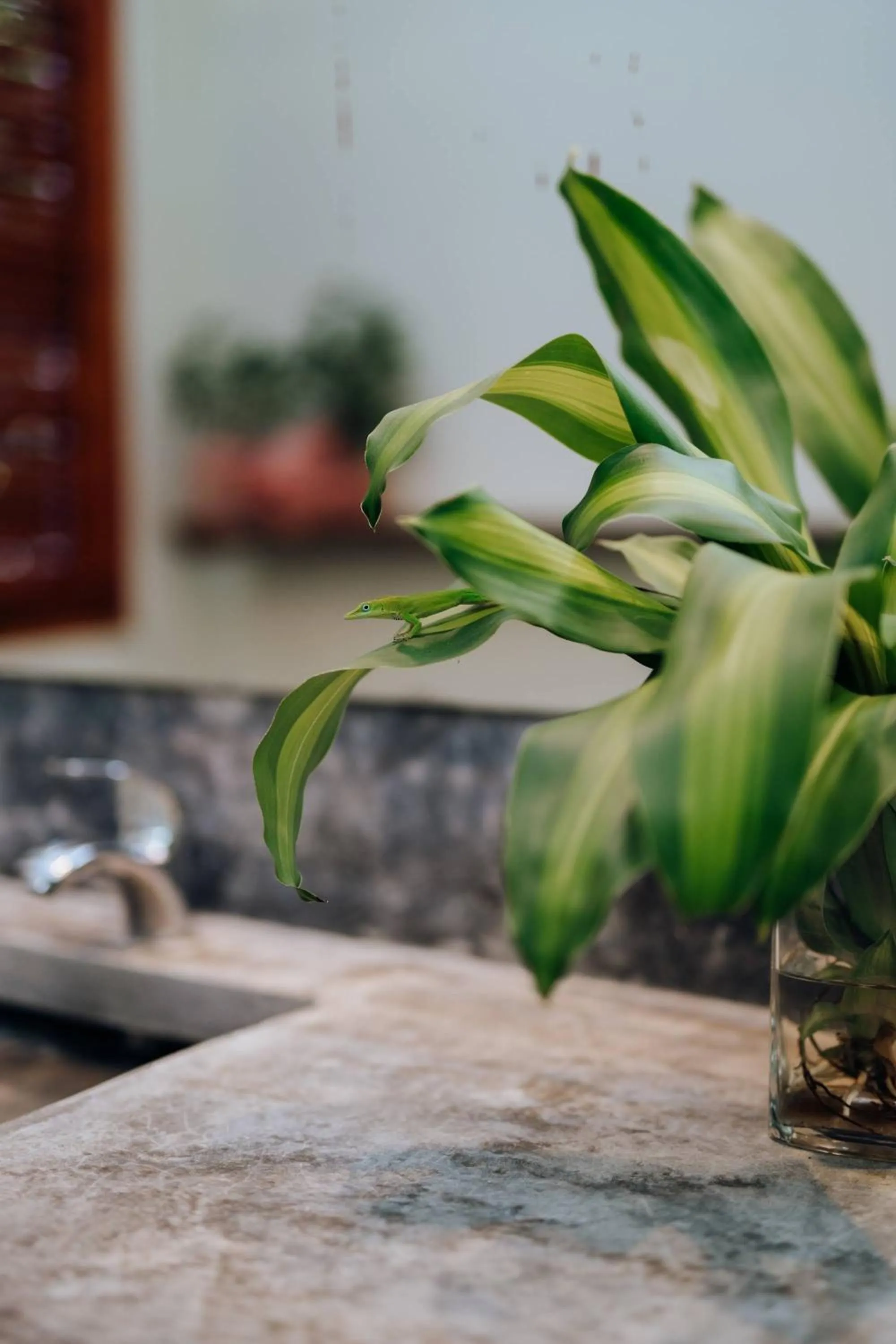 Open Air Bath in Residencia El Balatà