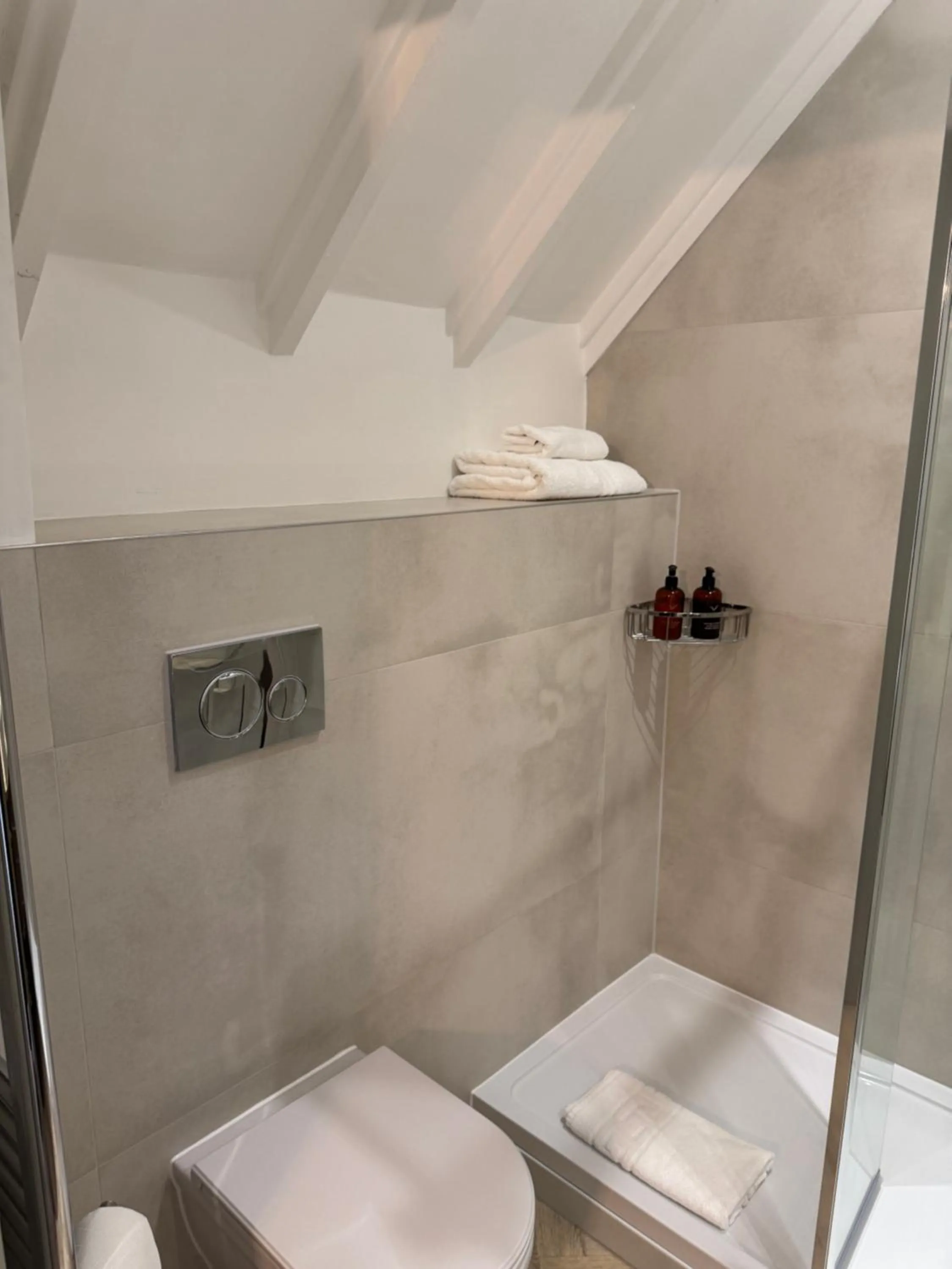 Shower in The Falcon Inn