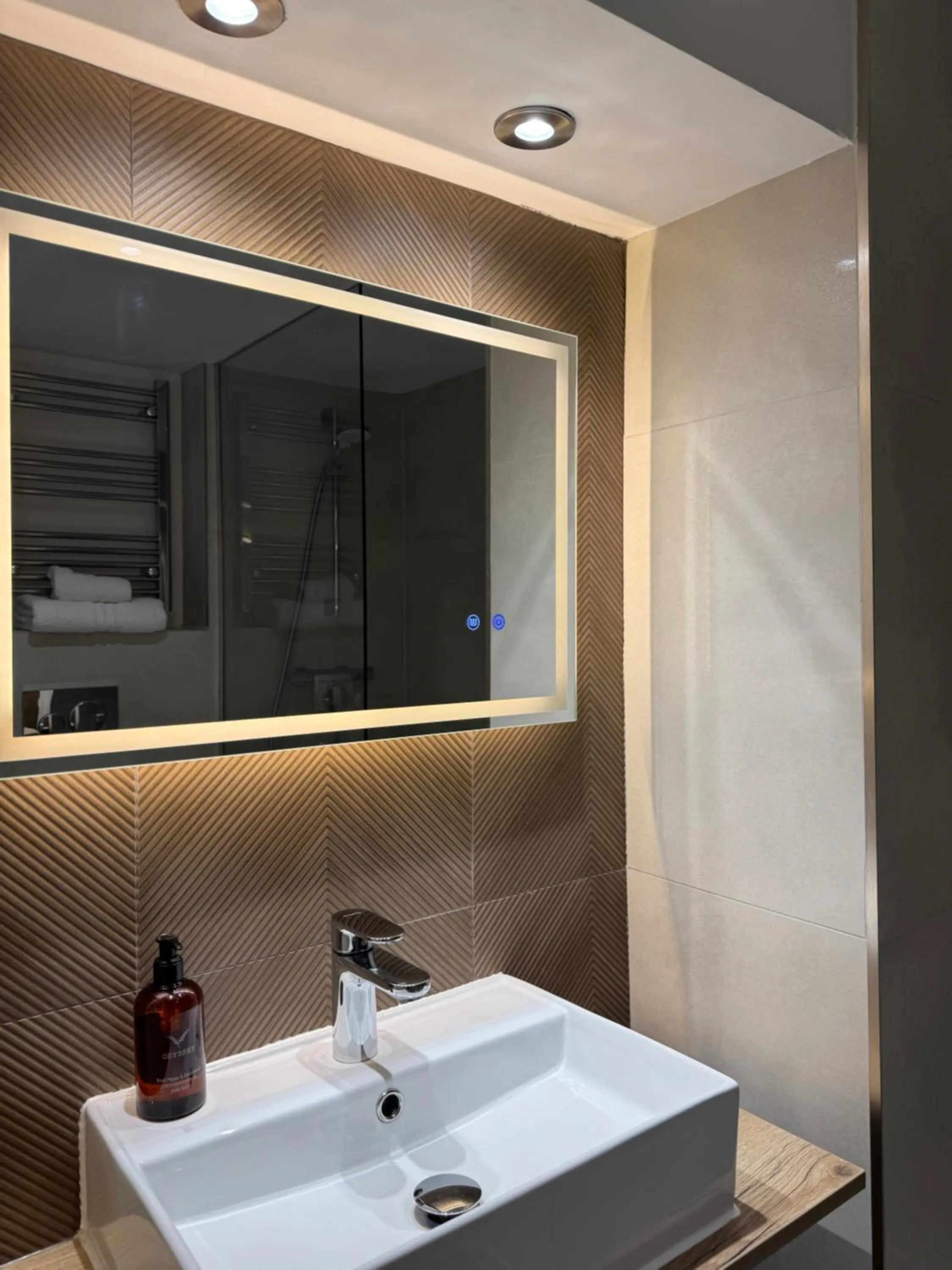 Shower in The Falcon Inn