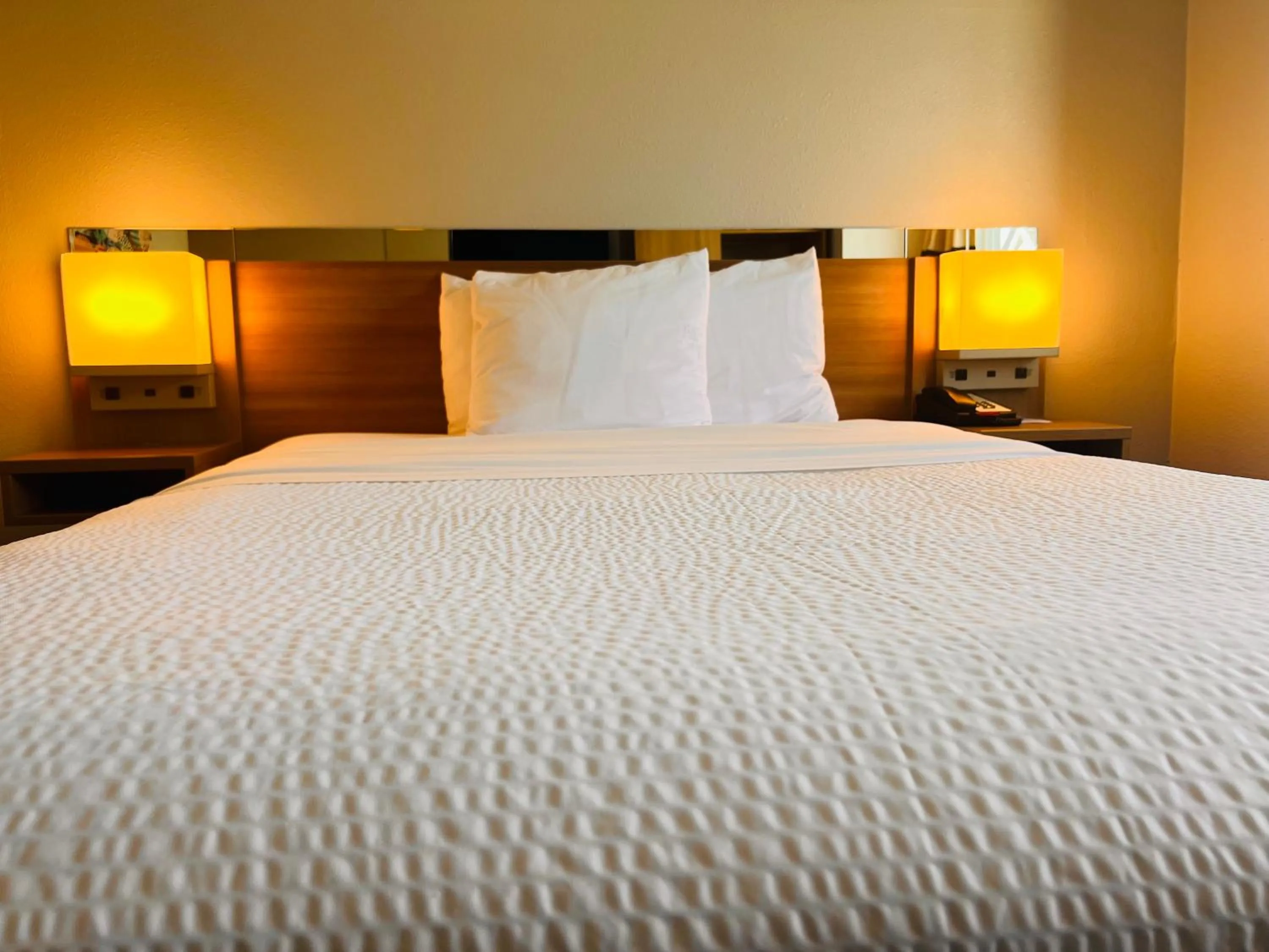Bed in Microtel Inn by Wyndham Lexington