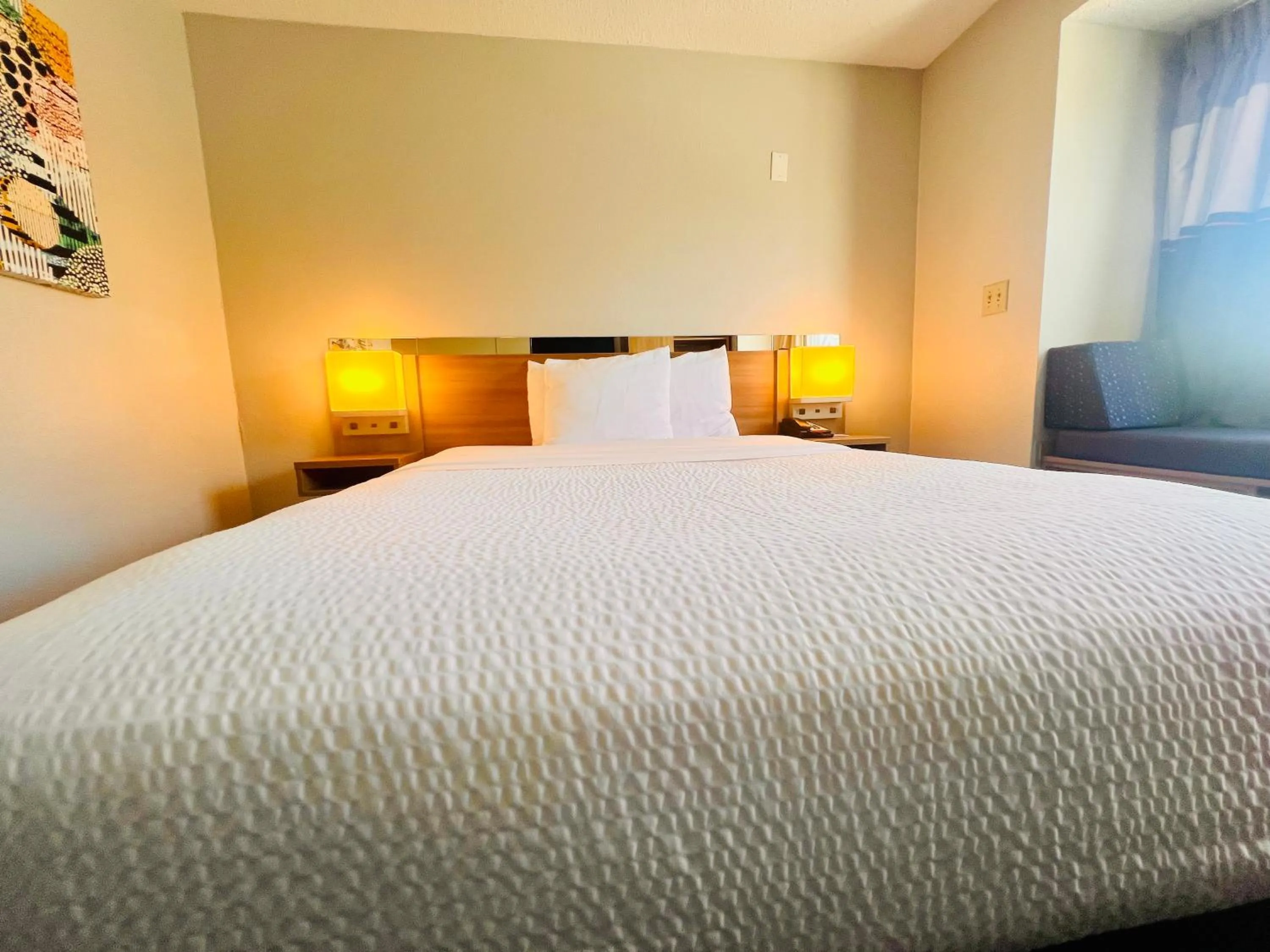 Bed in Microtel Inn by Wyndham Lexington