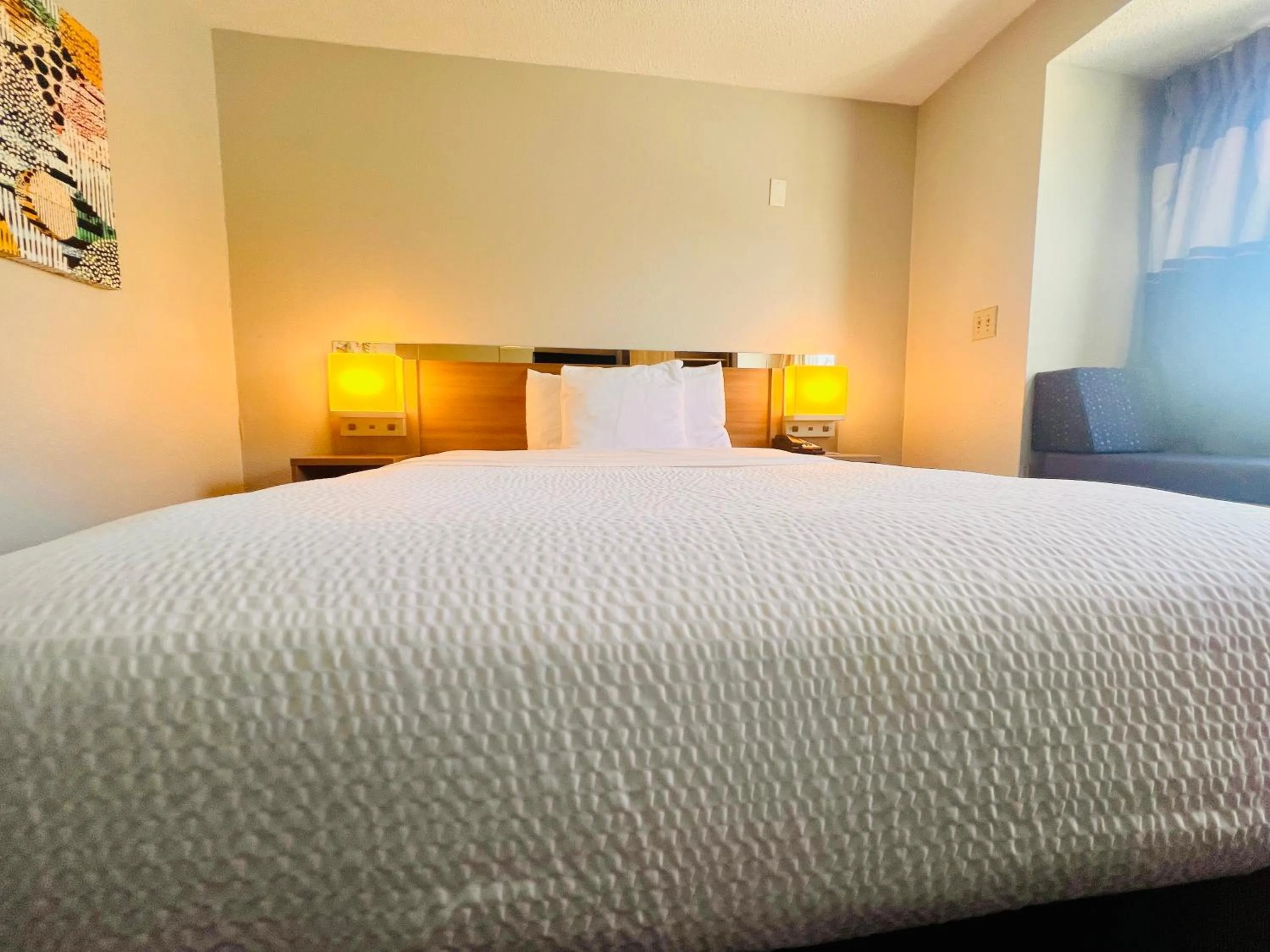 Bed in Microtel Inn by Wyndham Lexington