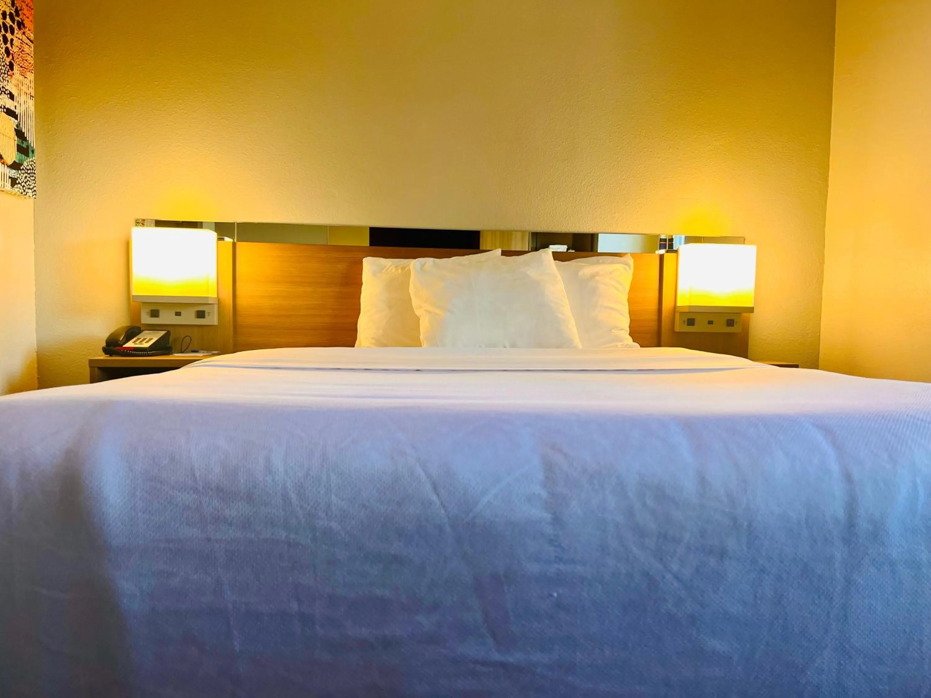 Bed in Microtel Inn by Wyndham Lexington