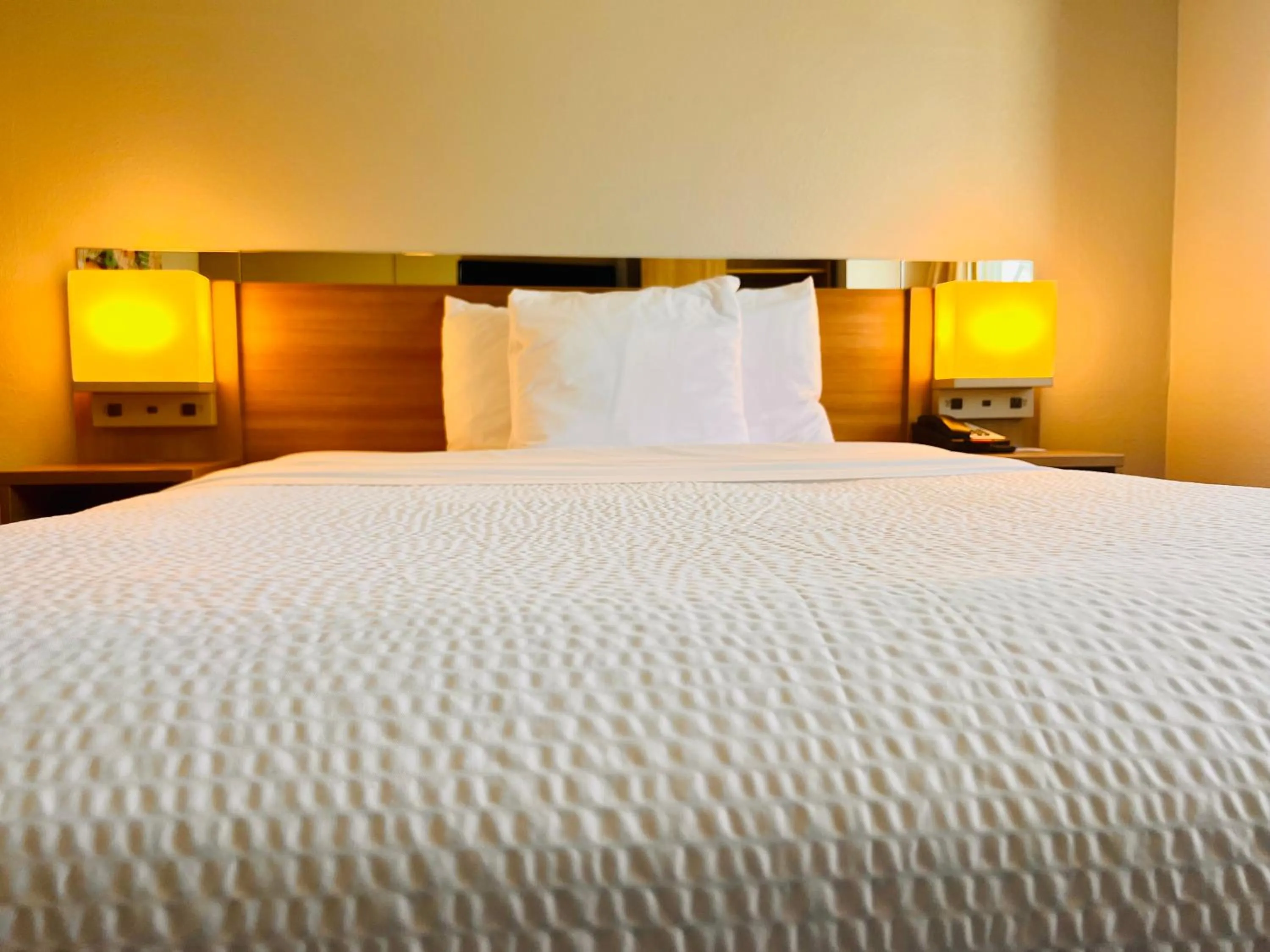 Bed in Microtel Inn by Wyndham Lexington