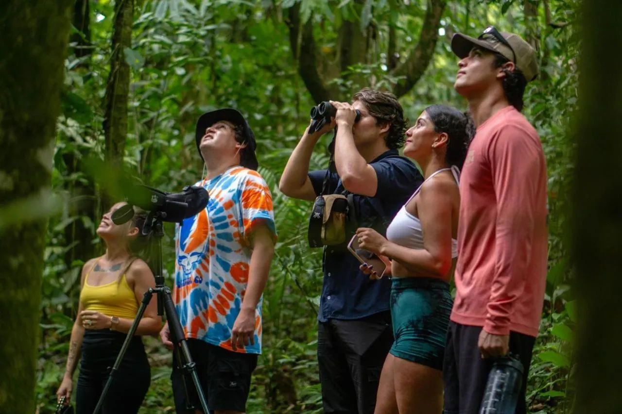 People in Yellow Tree Suites