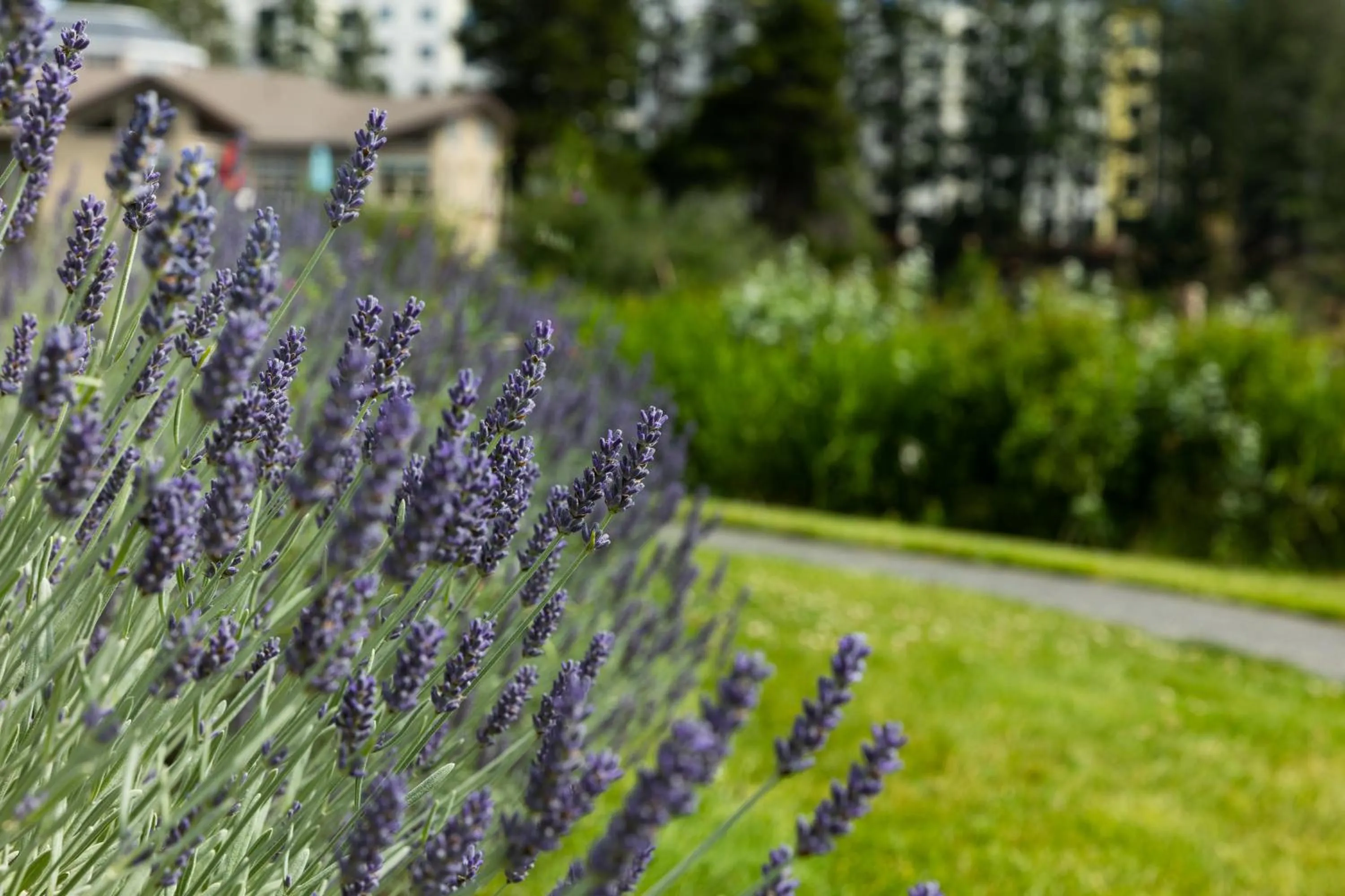 Natural landscape in Inn on Long Lake