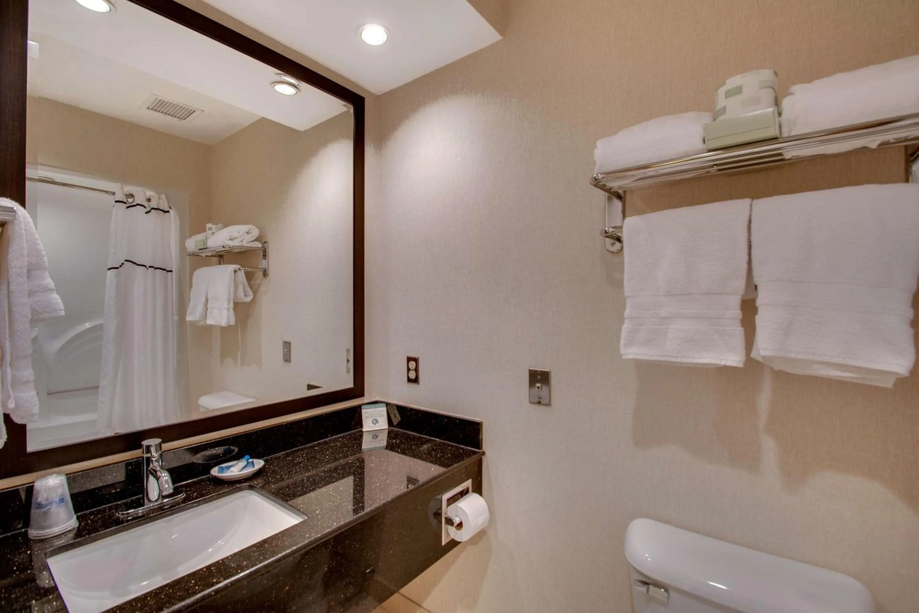 Bathroom in Best Western Plus, The Inn at Hampton