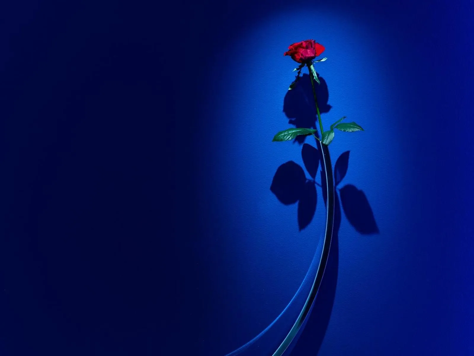 Decorative detail in Hotel Il Palazzo