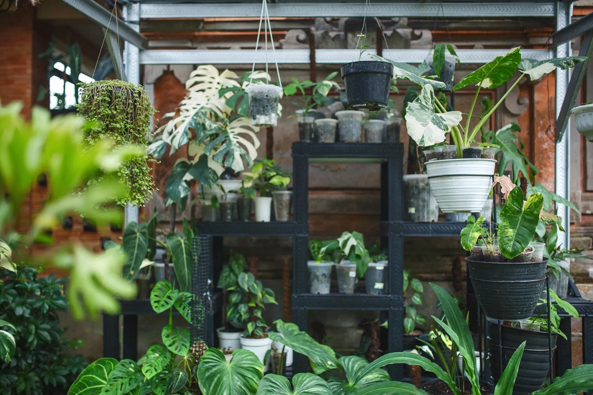 Garden in Alas Petulu Villa Resort and Spa