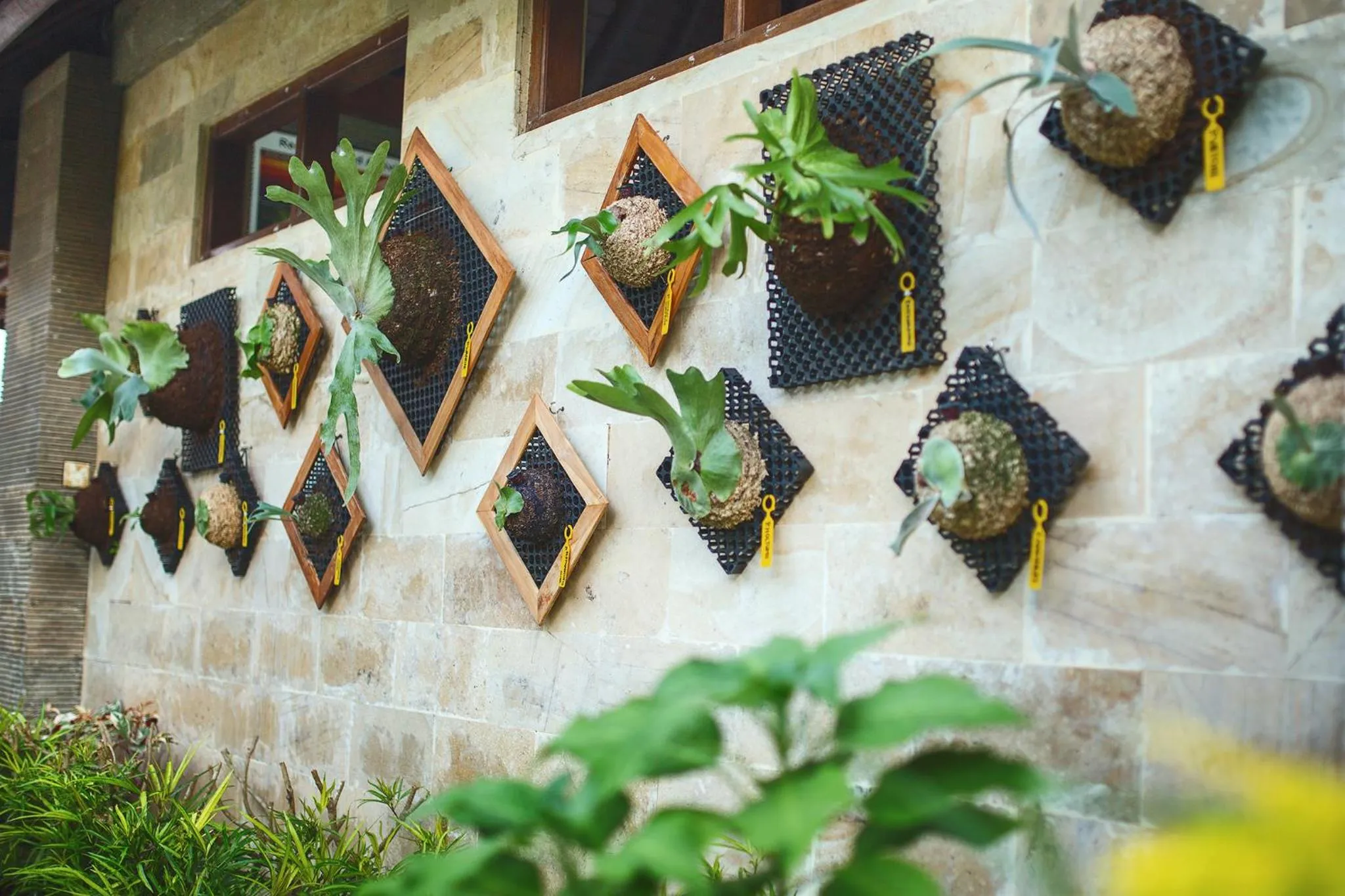 Garden in Alas Petulu Villa Resort and Spa