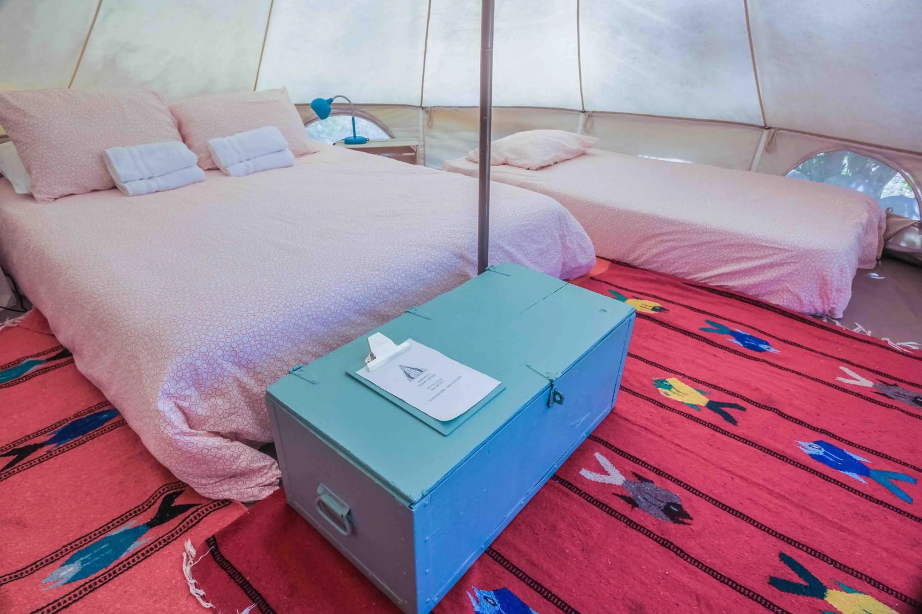 Bed in Todos Santos Hostel super fast and stable satellite wifi