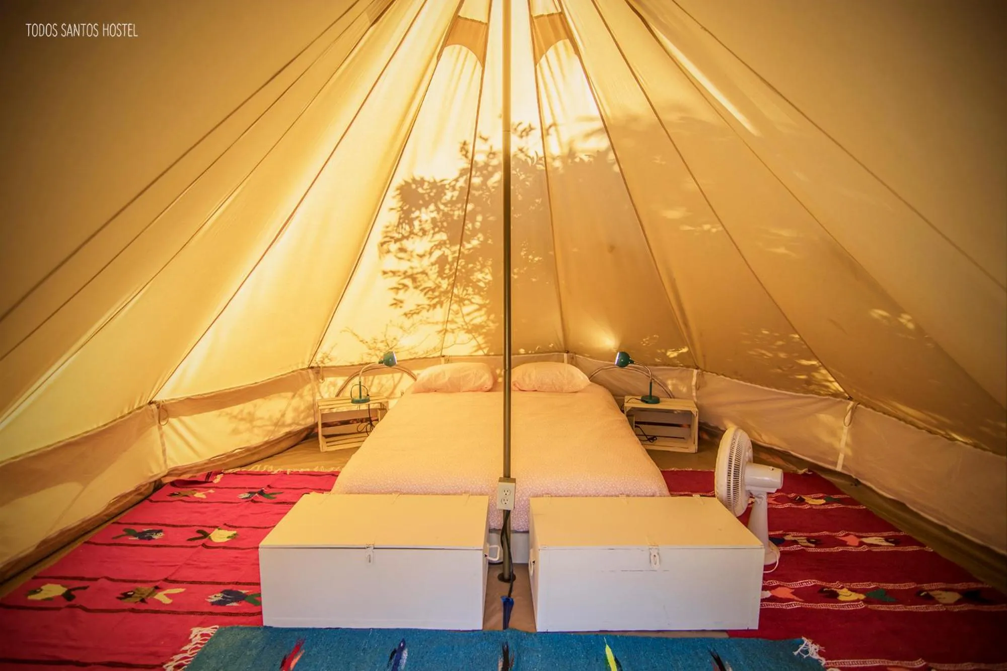 Bed in Todos Santos Hostel super fast and stable satellite wifi