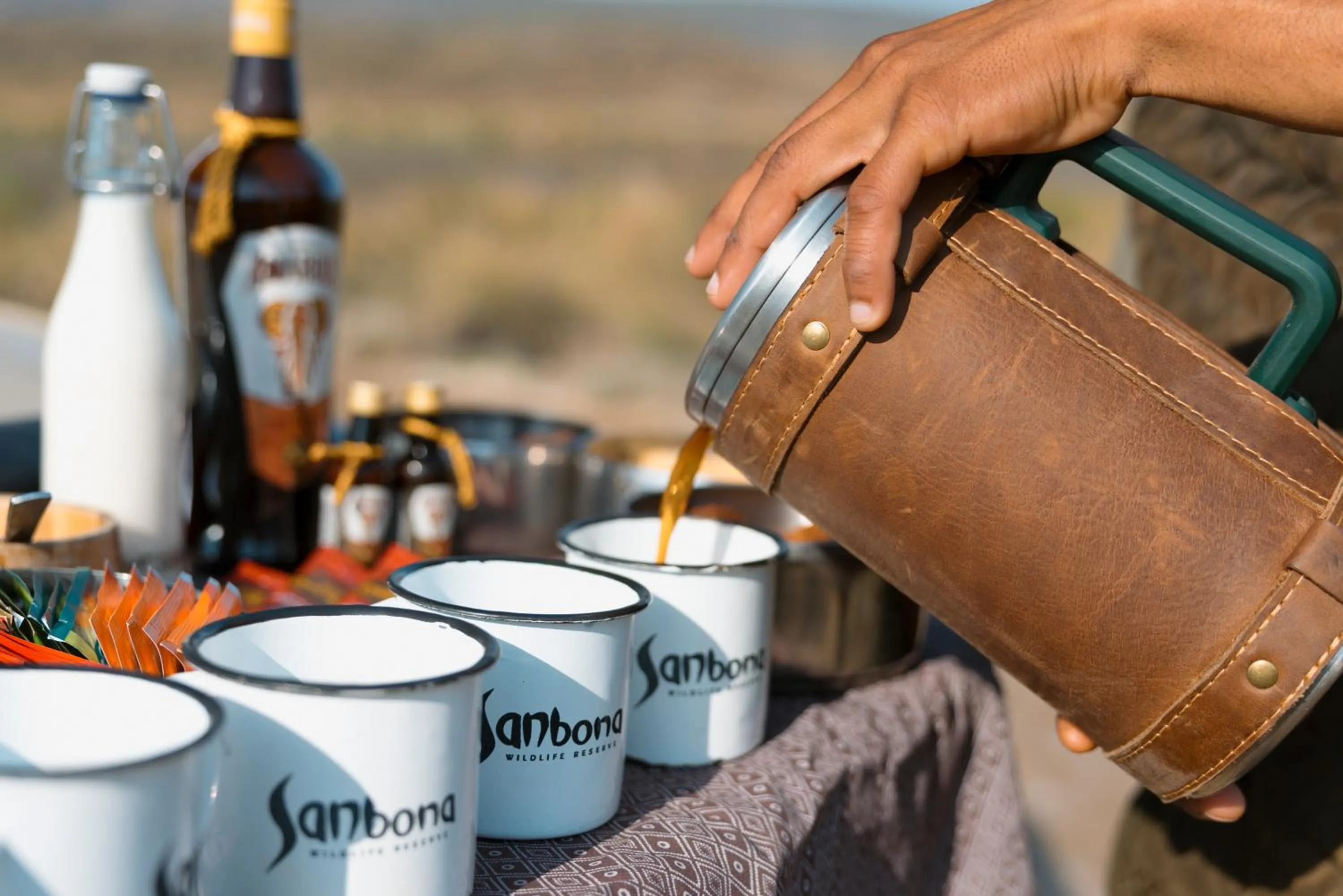 View (from property/room) in Sanbona Wildlife Reserve