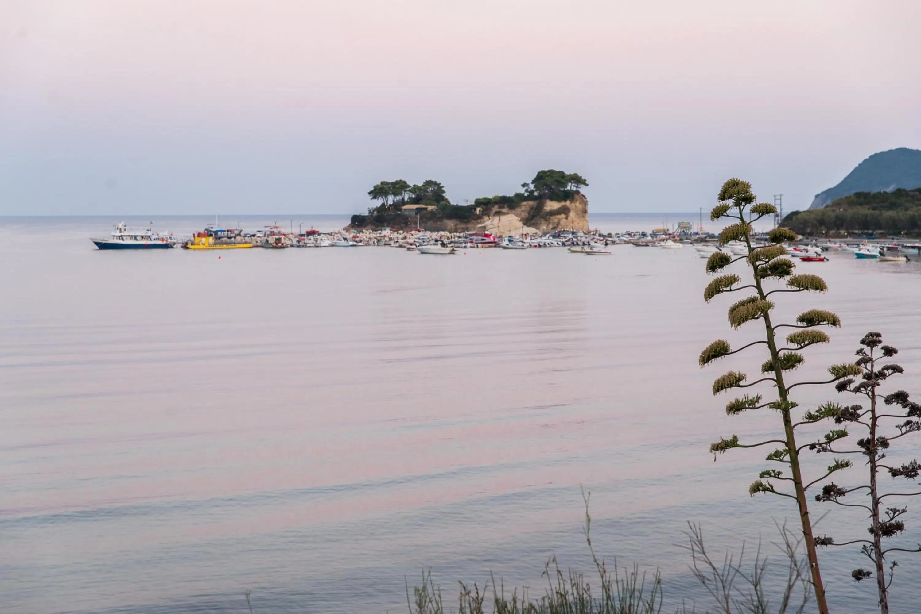 Natural landscape in Denise Beach Hotel