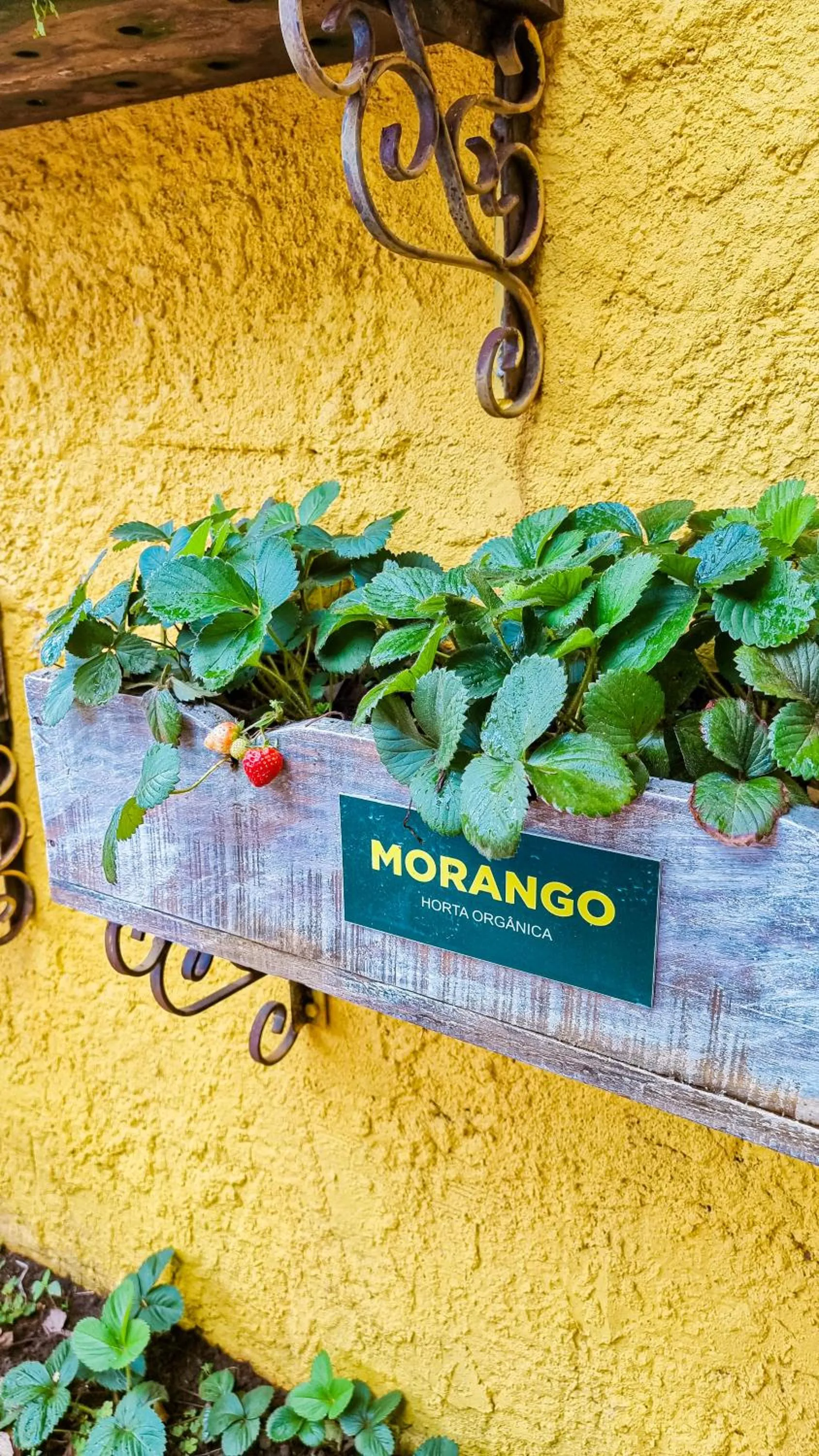 Time of day in Pousada Portal da Concha