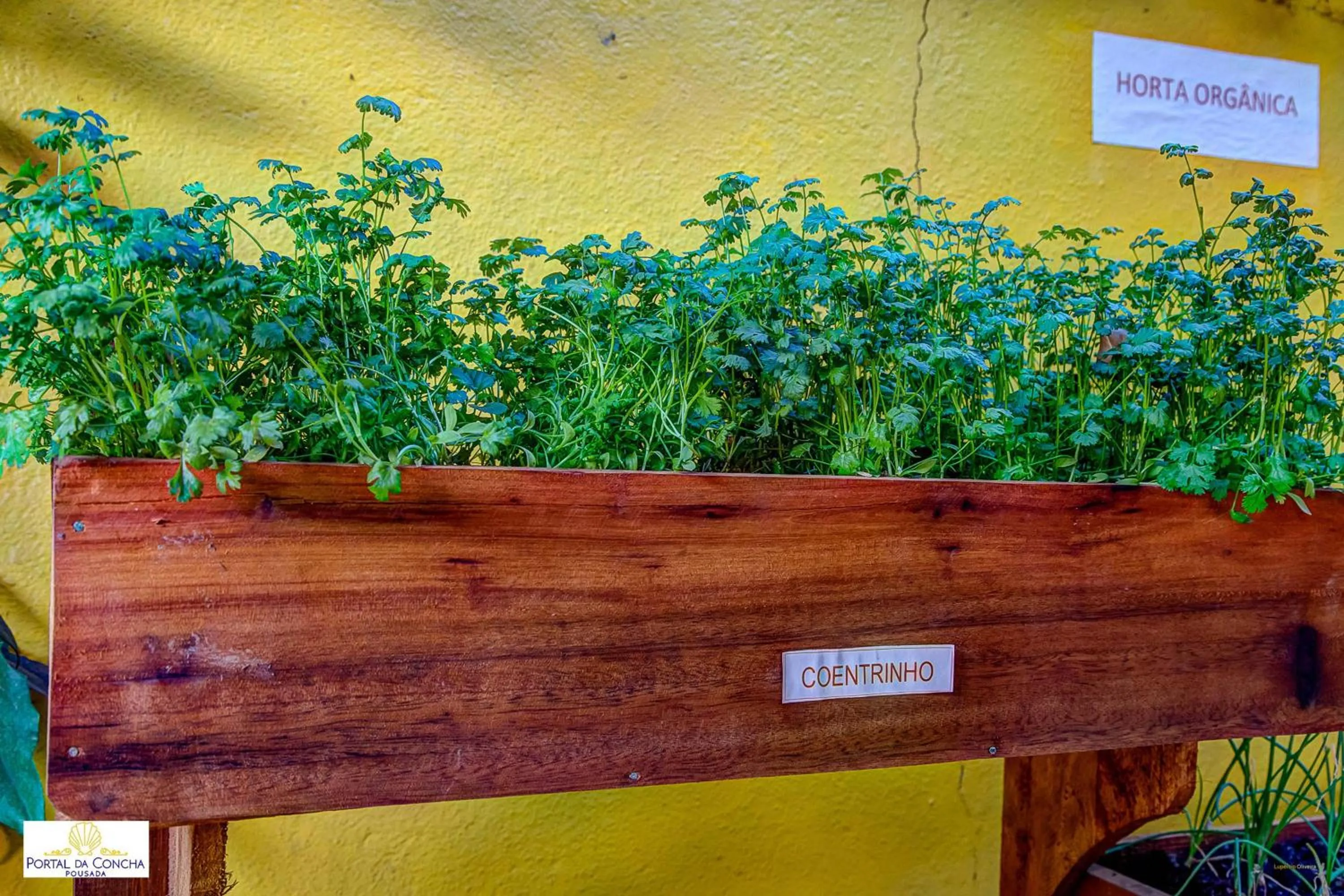 Garden in Pousada Portal da Concha
