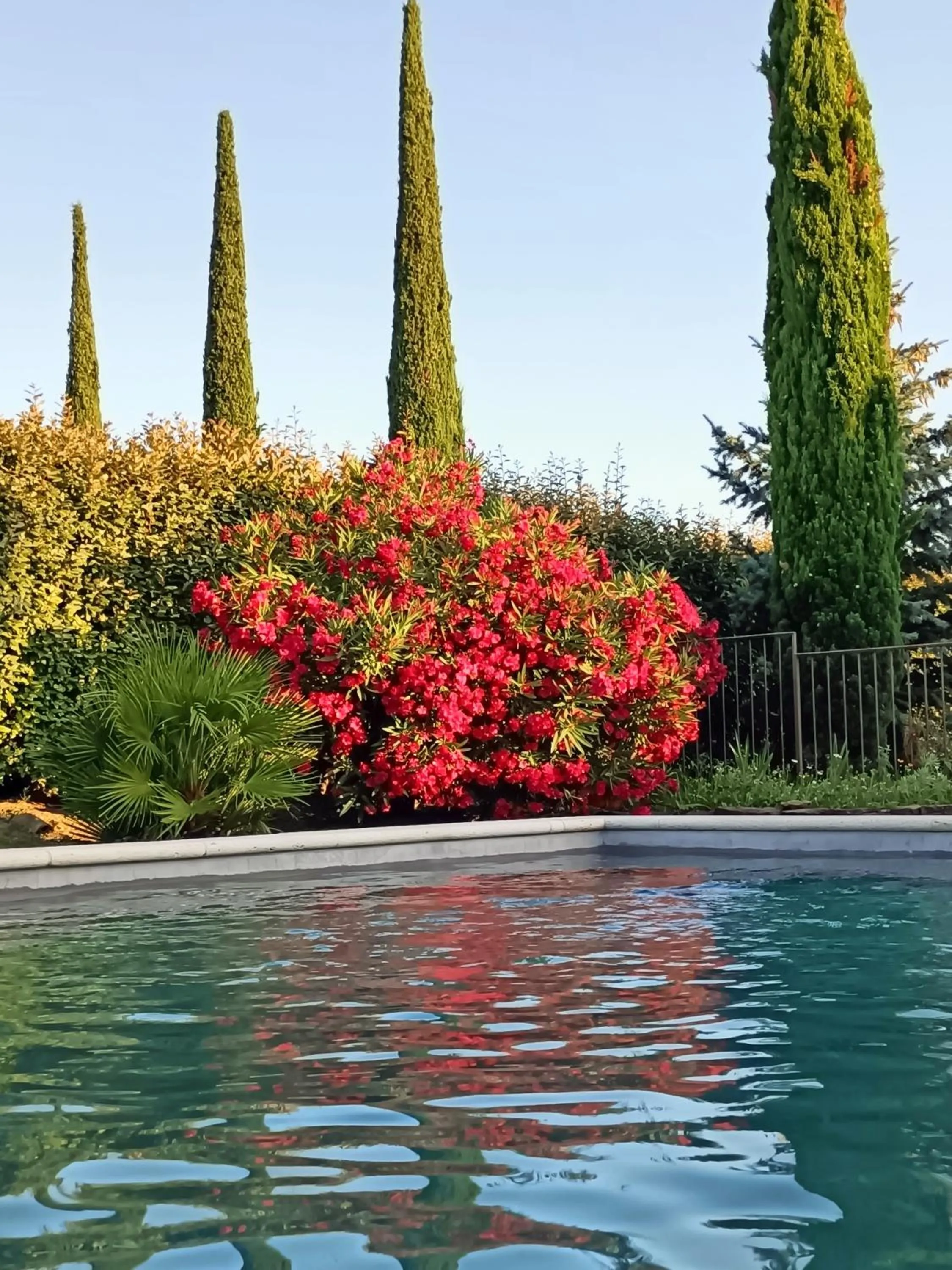 Swimming pool in Chambre d'hôtes le faré tchanqué parking gratuit sur place