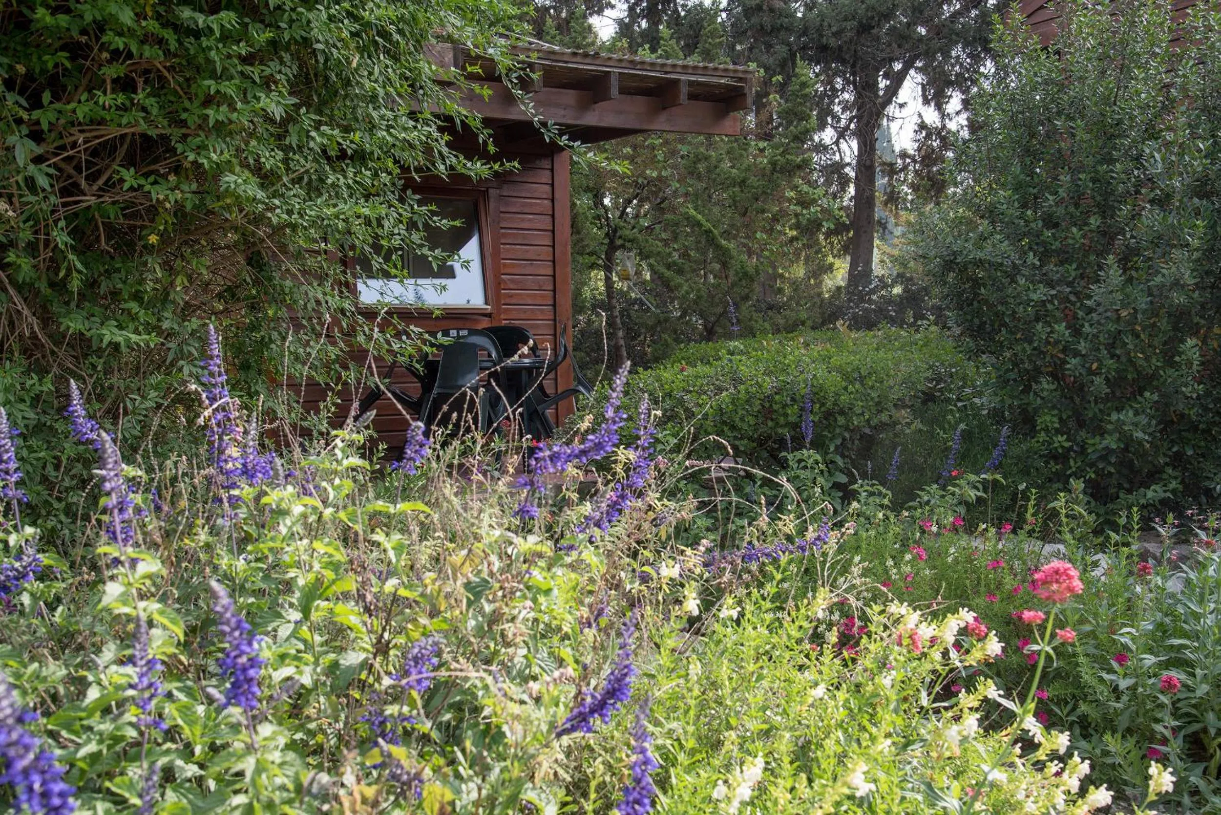 Garden view in Zohar Badeshe