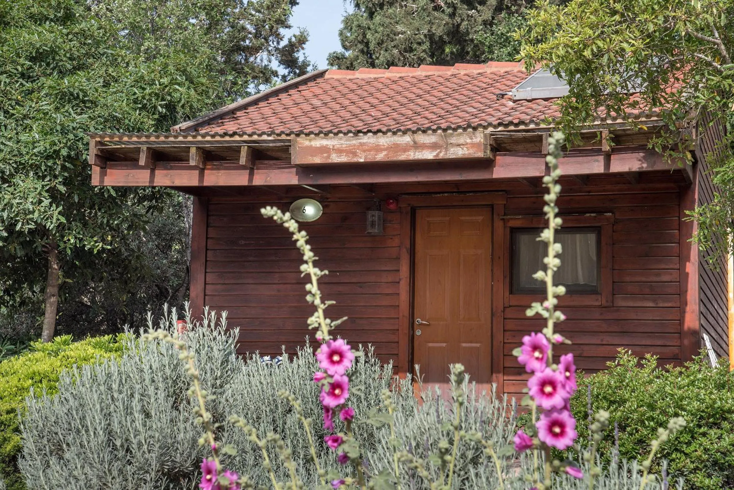 Facade/entrance in Zohar Badeshe