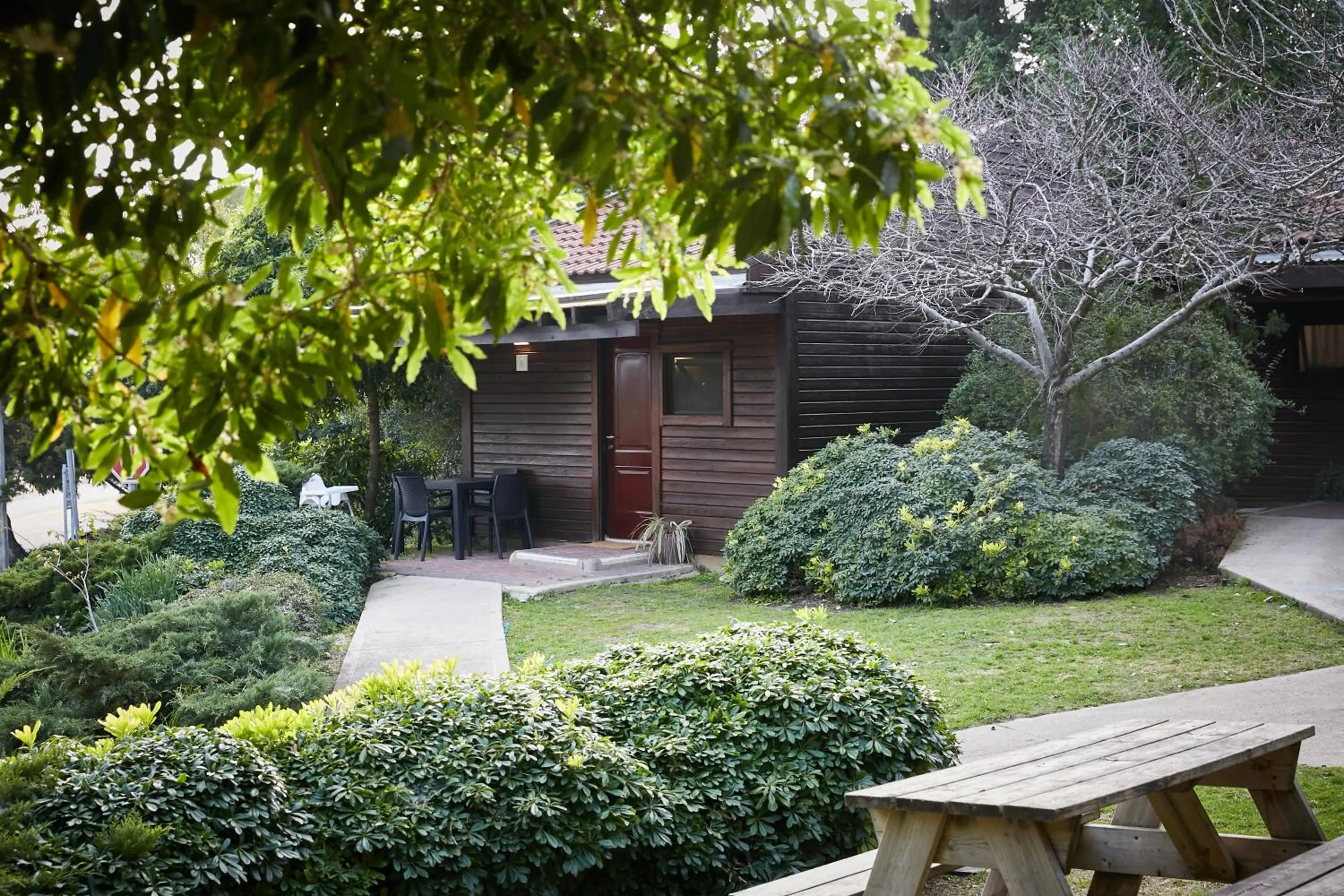 Garden view in Zohar Badeshe