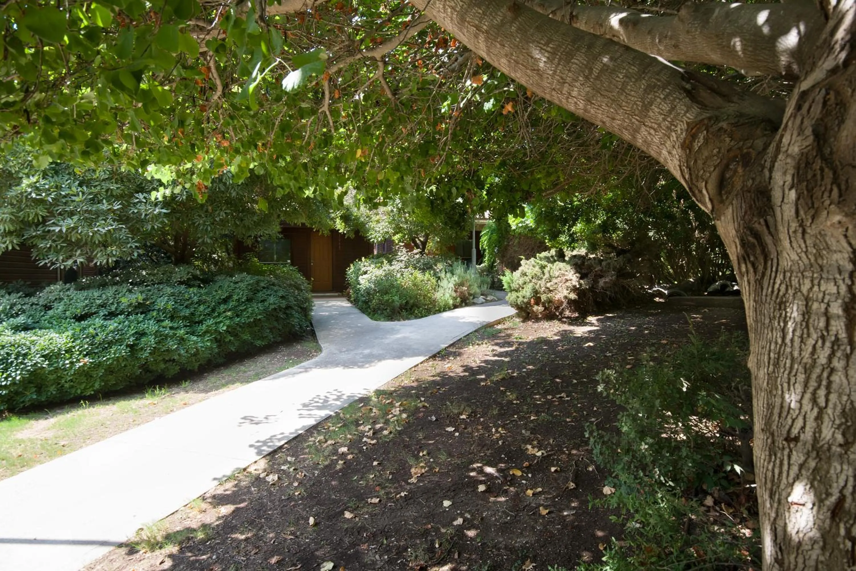 Garden in Zohar Badeshe