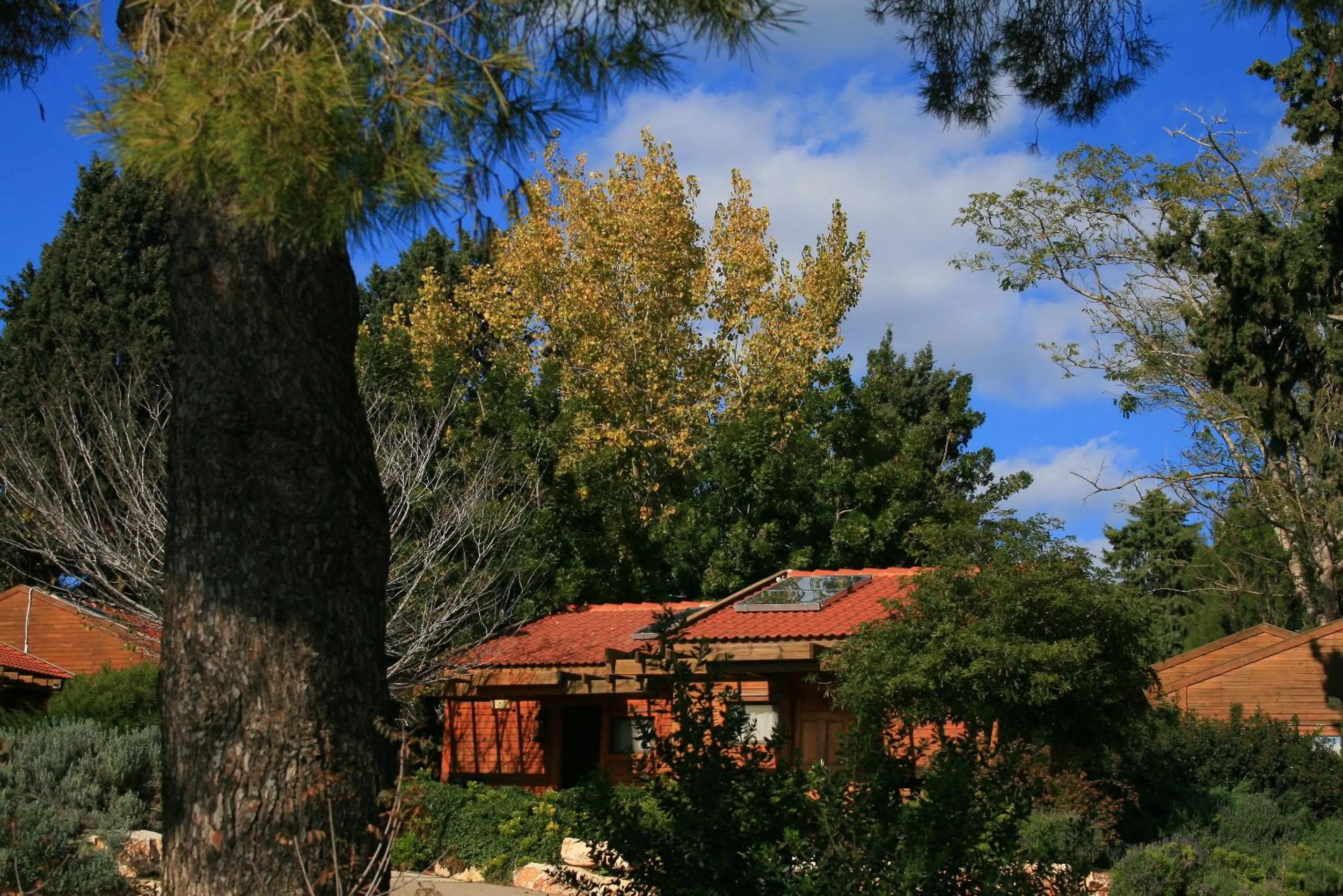 Garden in Zohar Badeshe