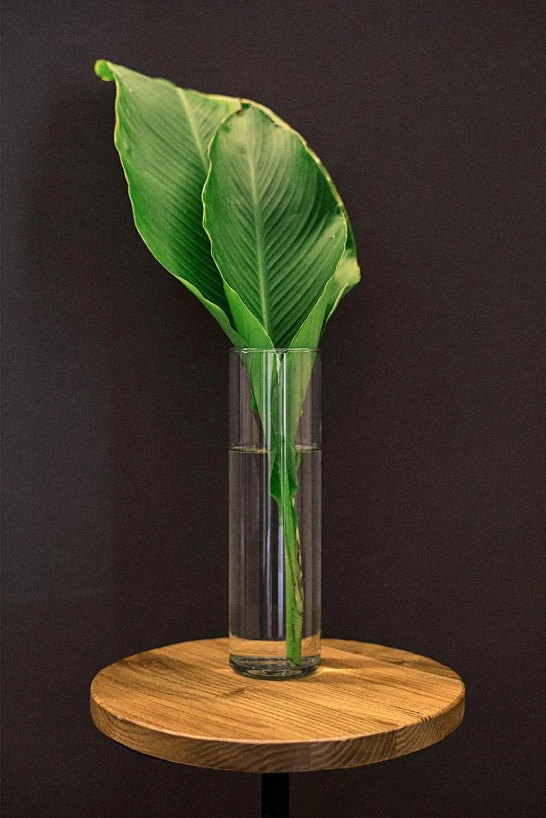 Decorative detail in BB Casamatta