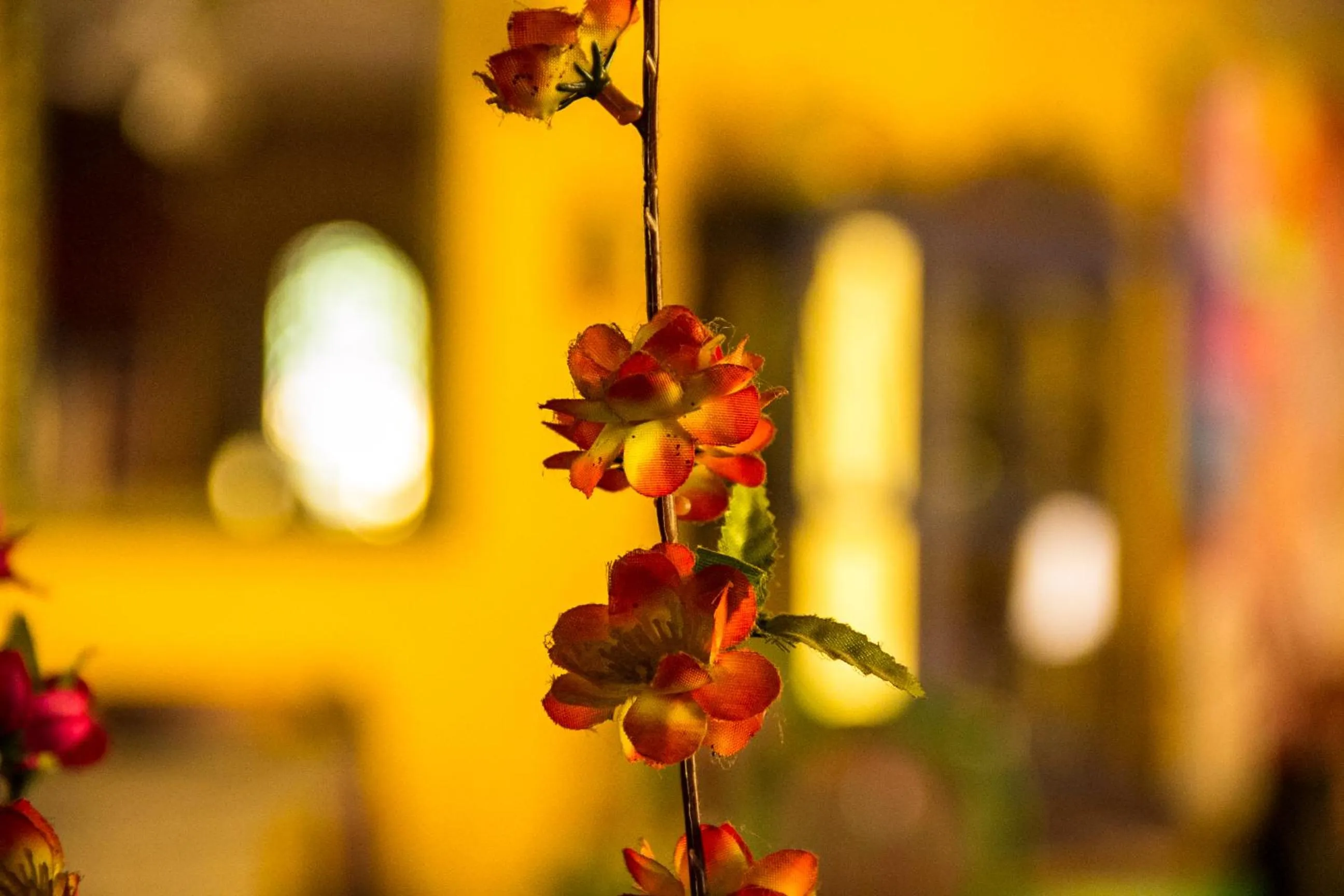 Posada las Margaritas