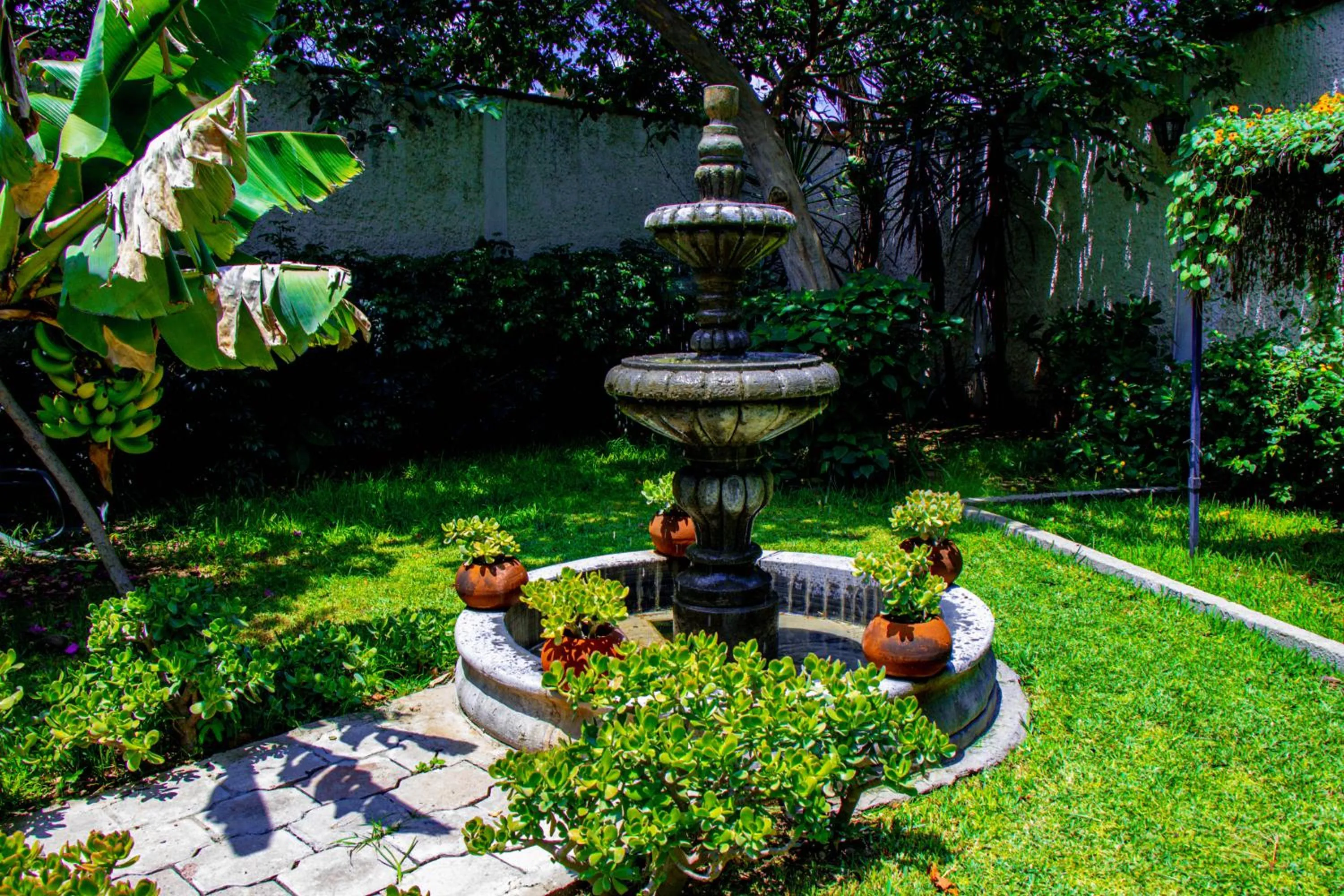 Posada las Margaritas