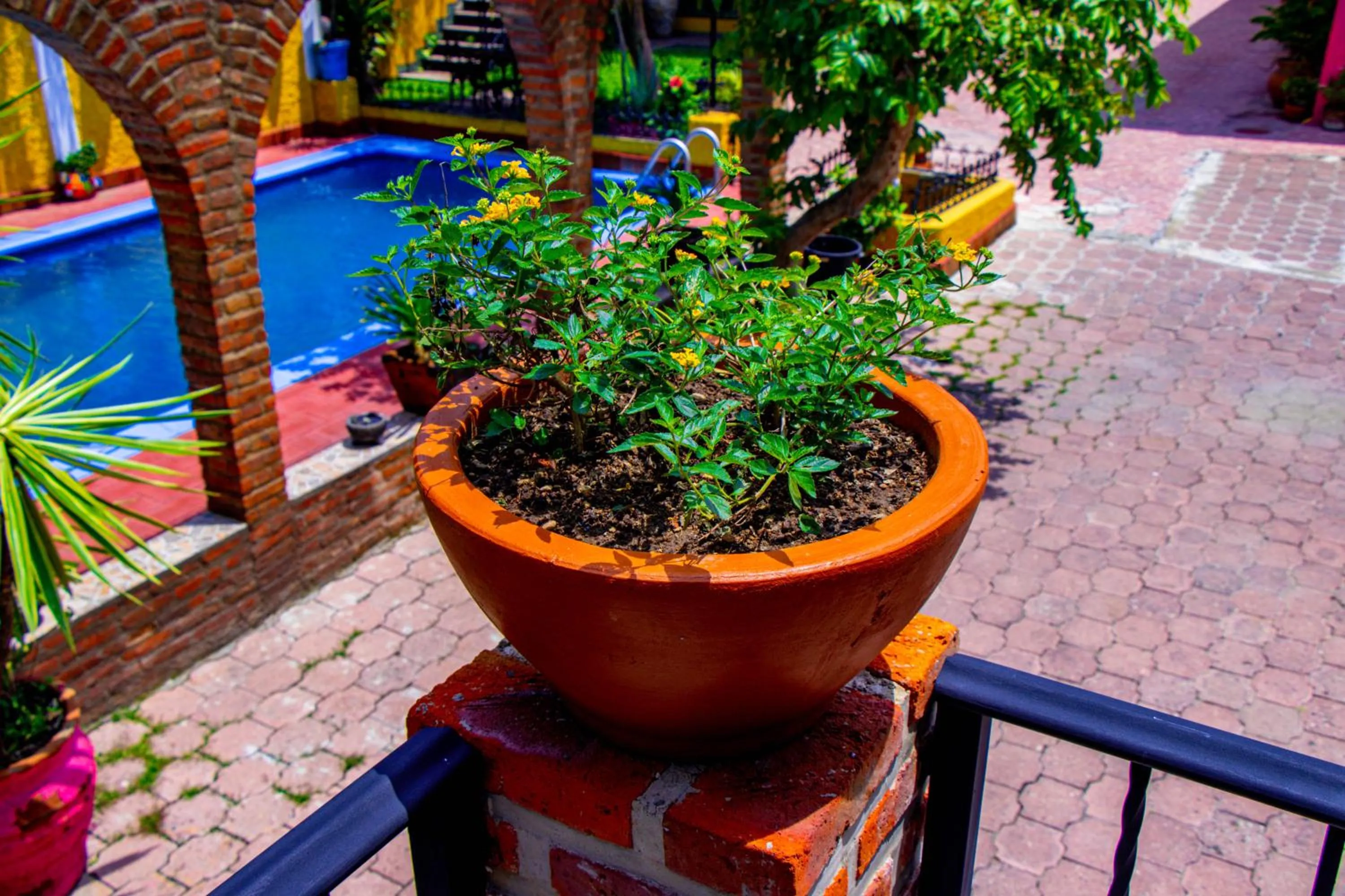 Posada las Margaritas