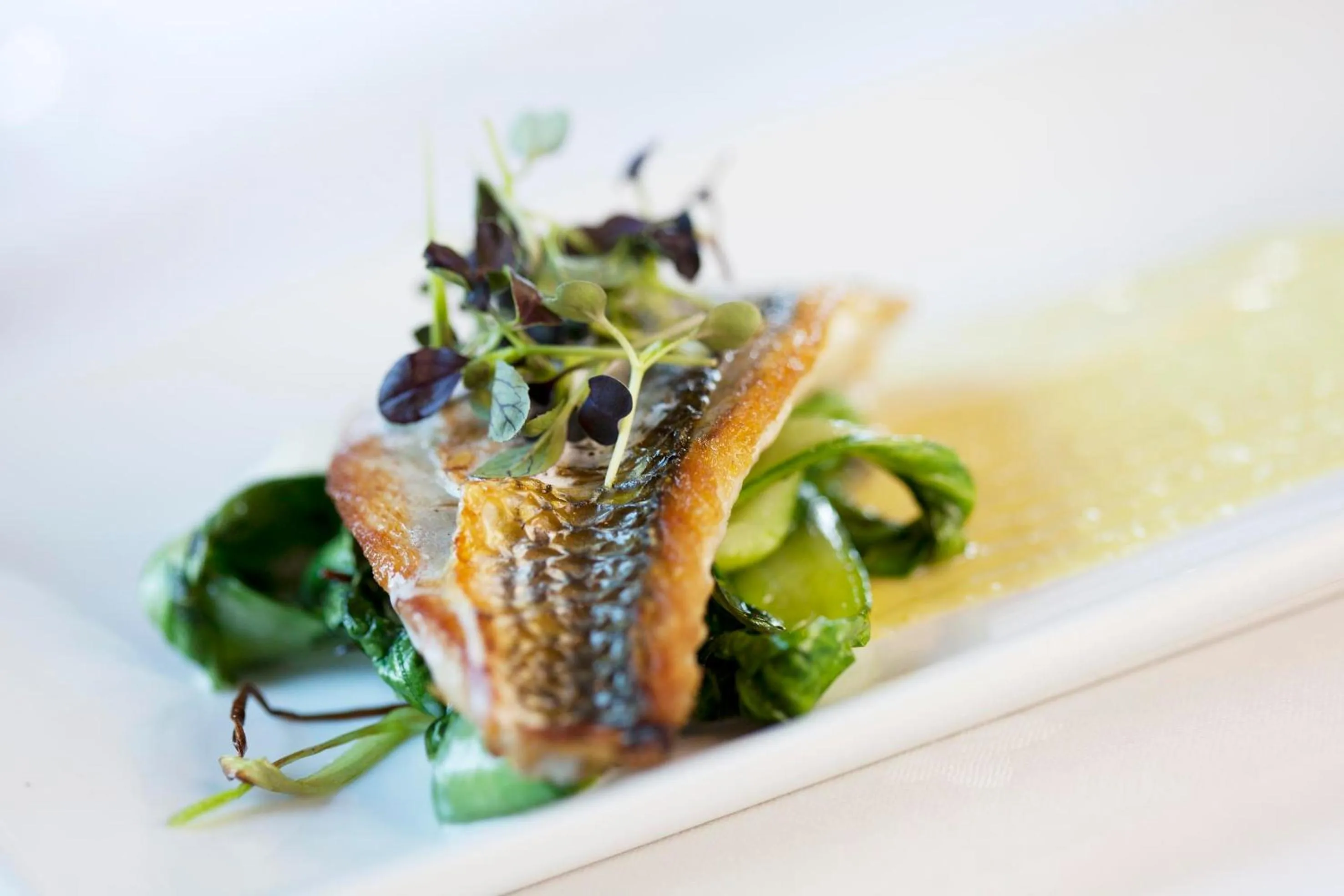 Restaurant/places to eat in Mill End Hotel