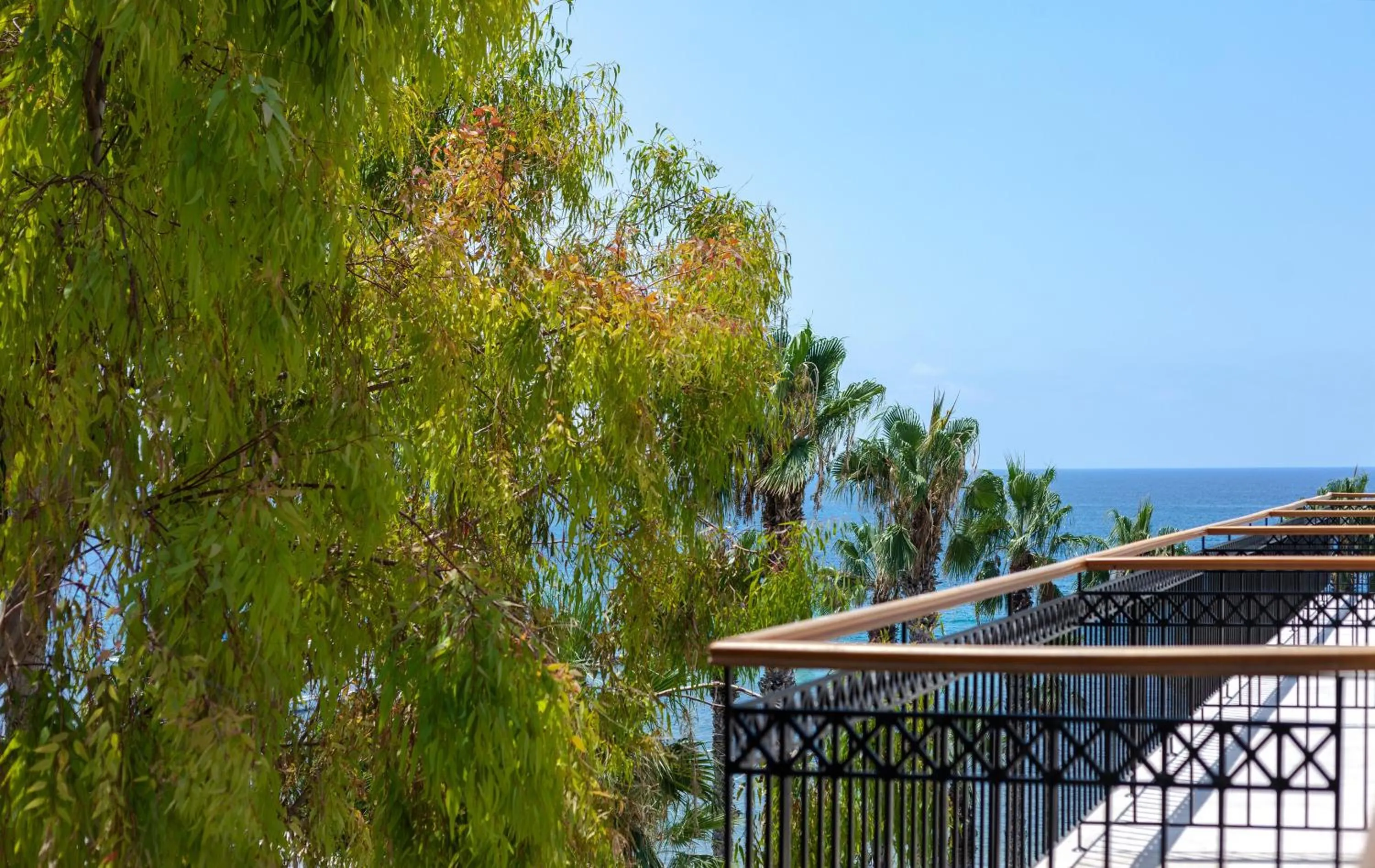 Photo of the whole room in Annabelle