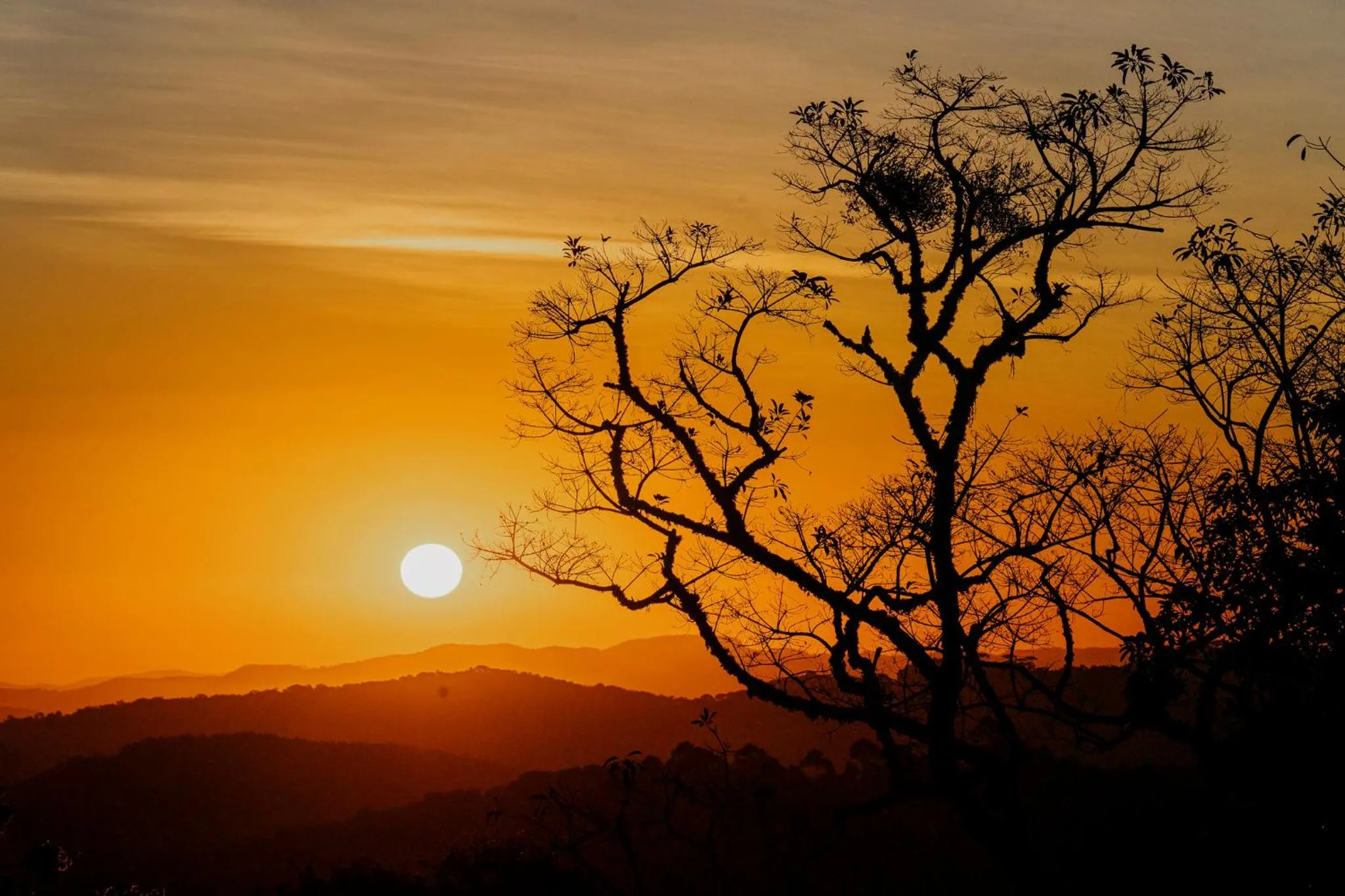 Natural landscape in Pousada Alto de Monte Verde