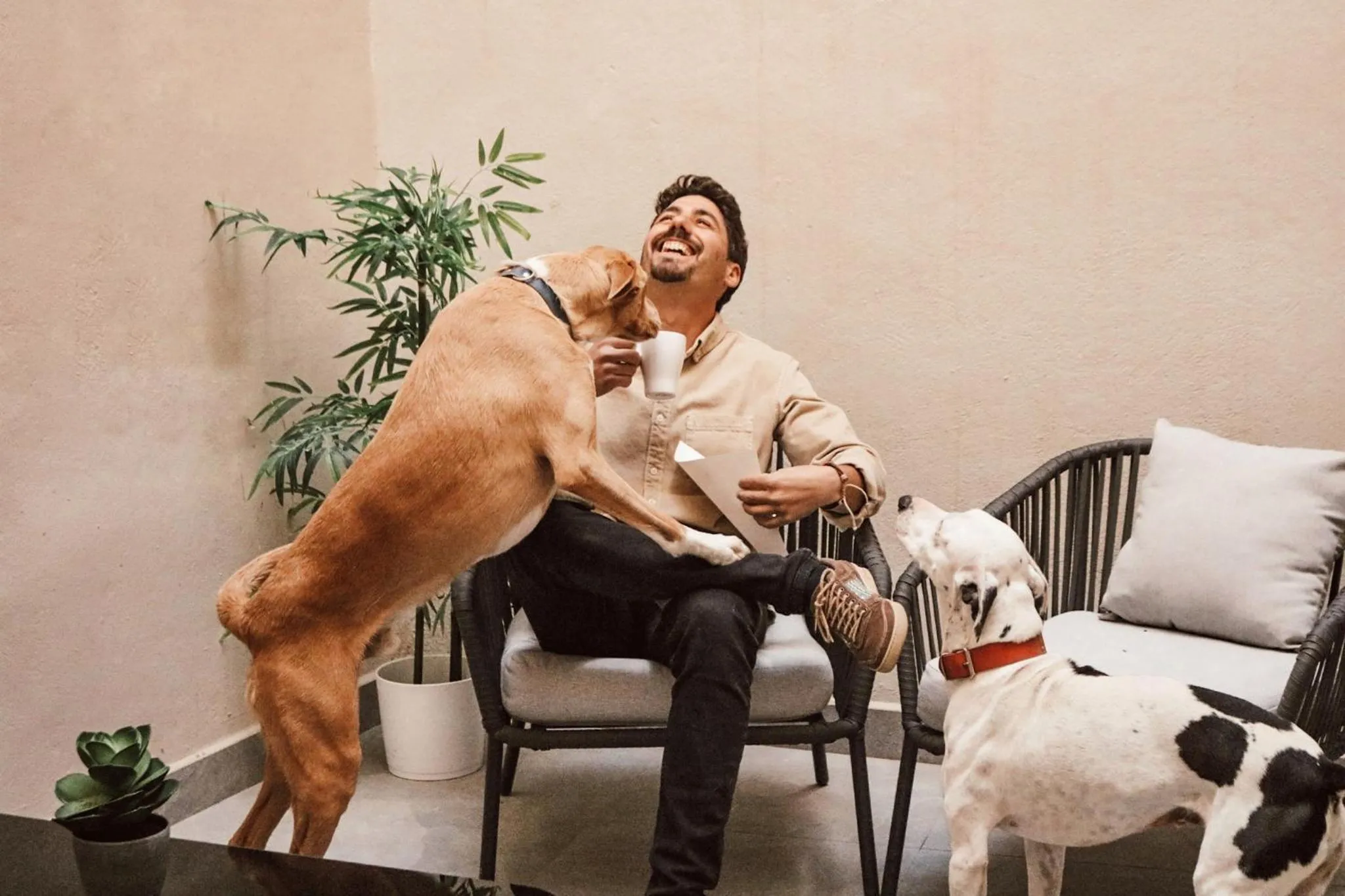 Balcony/Terrace in Apartamentos Málaga Premium - Calle San Telmo