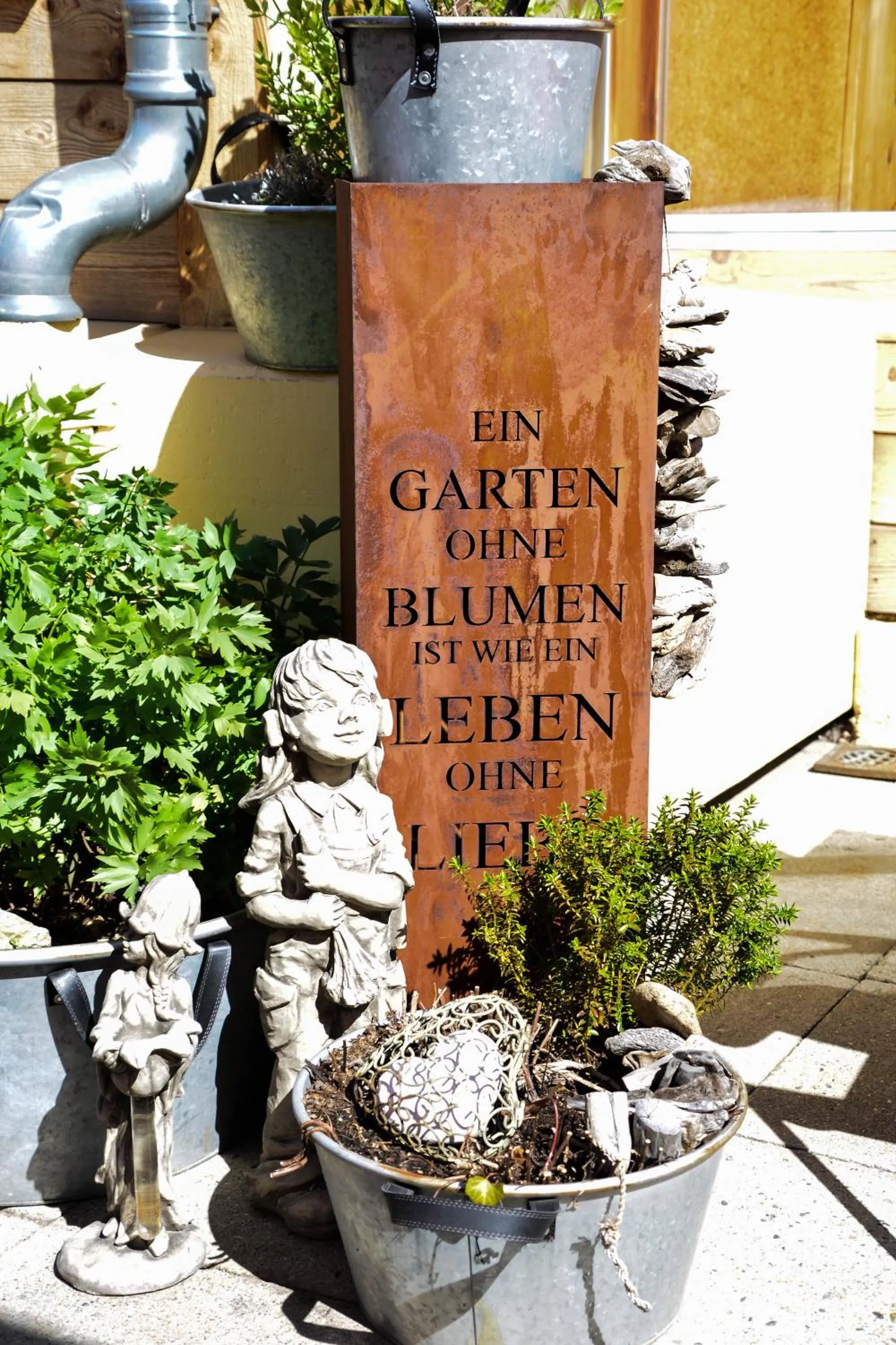 Area and facilities in Hotel-Restaurant Ronalp