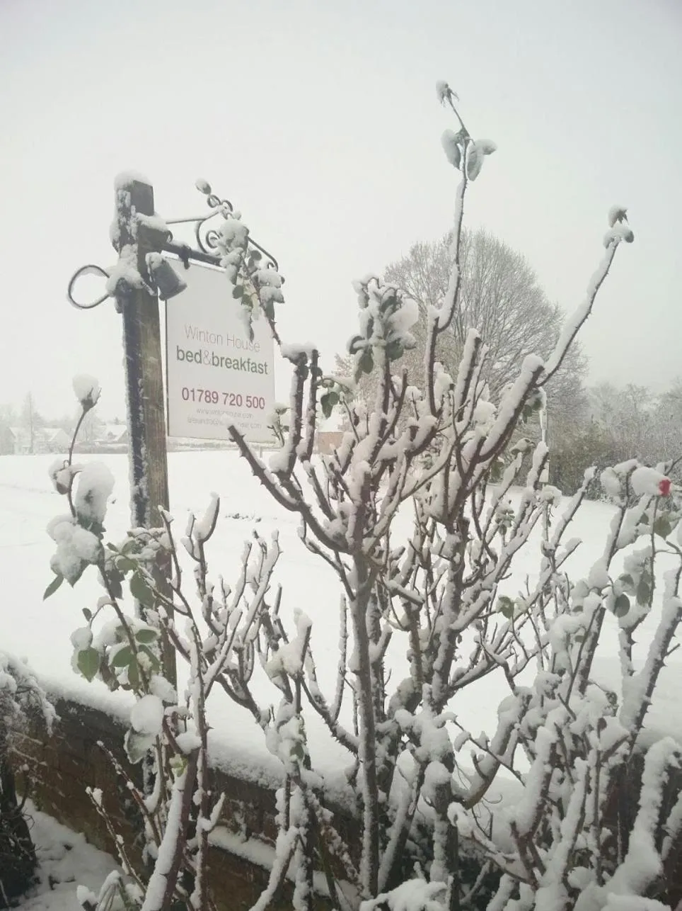 View (from property/room) in Winton House