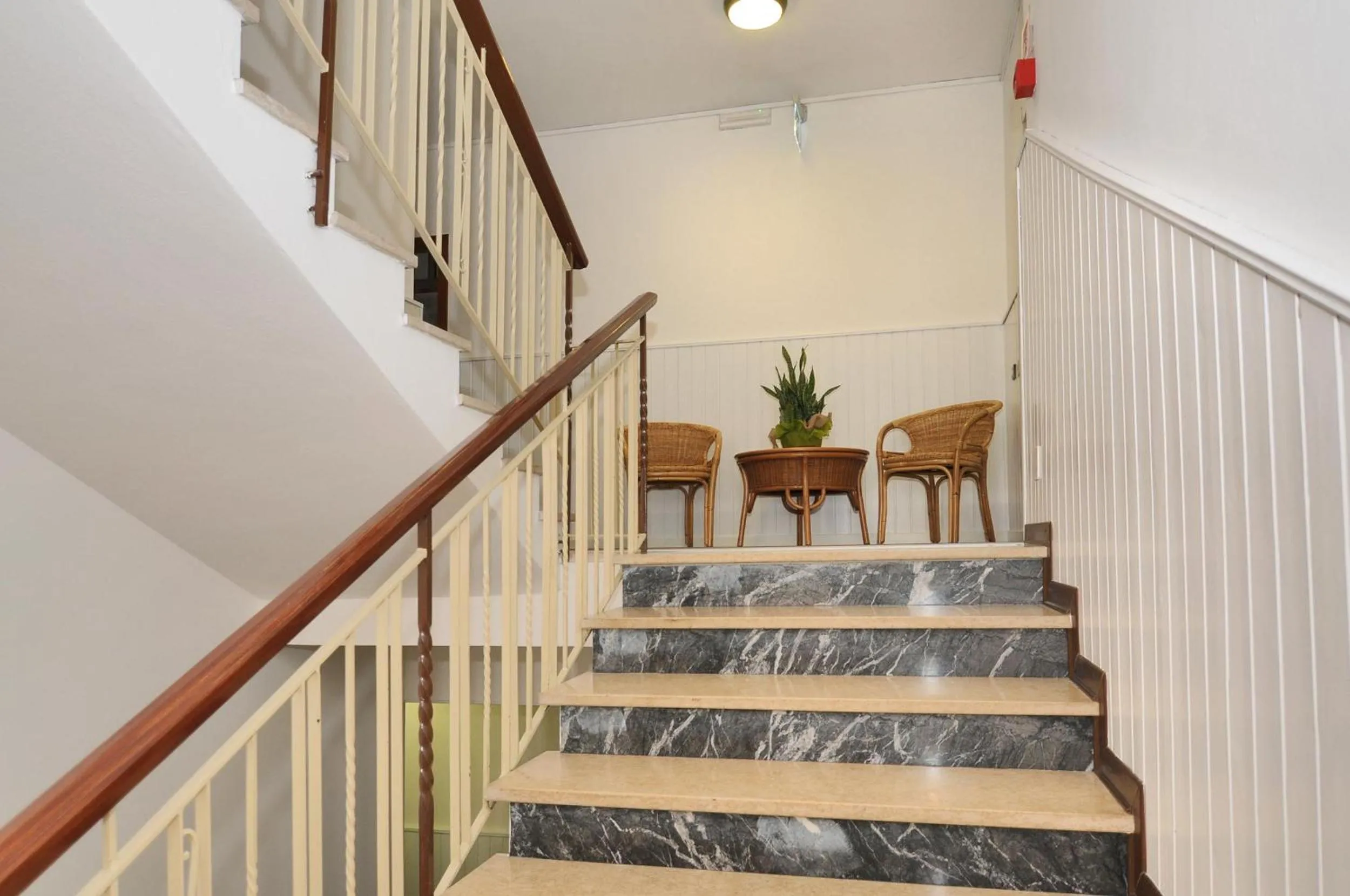 Other in Venus Best Price