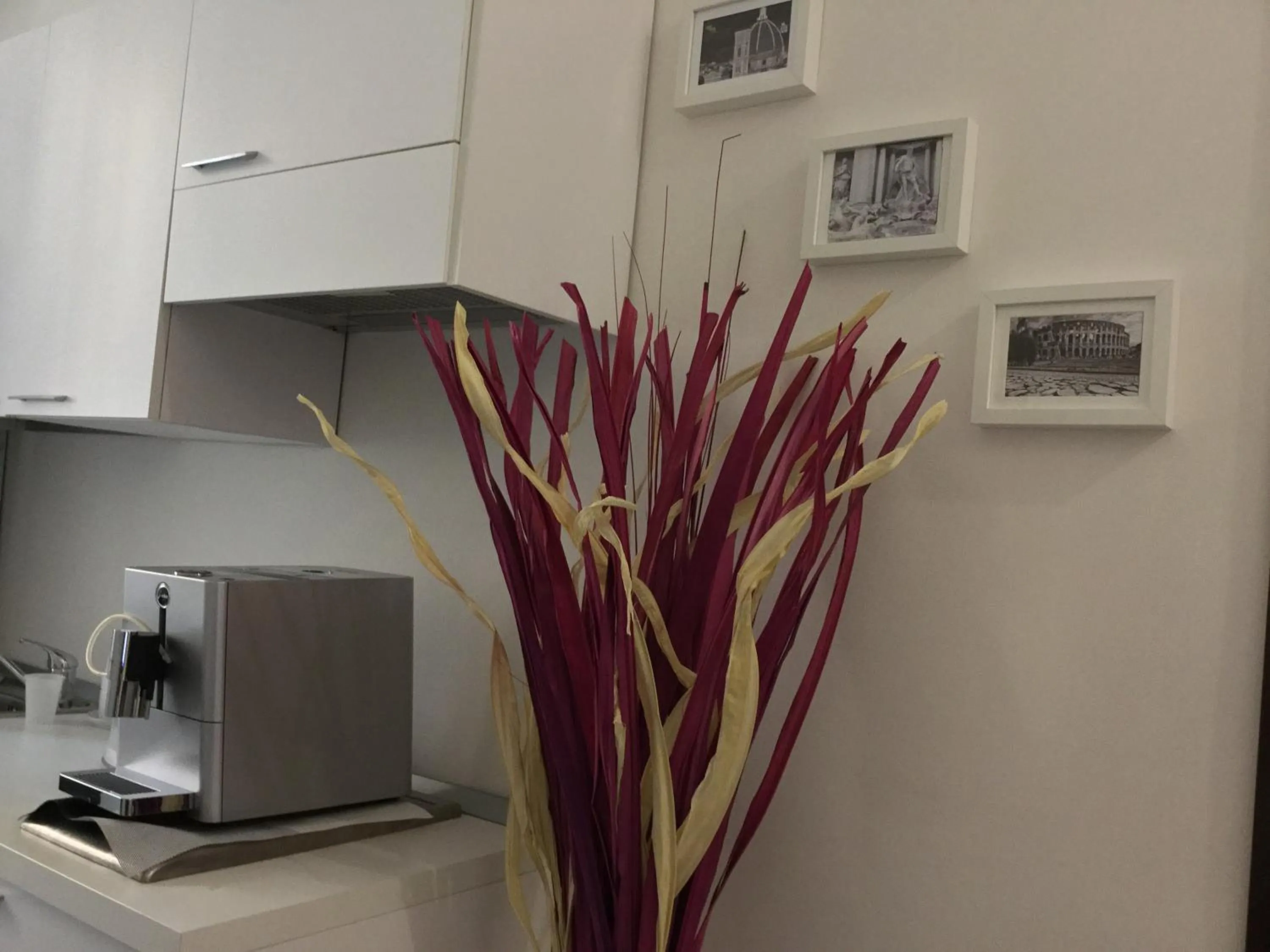 Coffee/tea facilities, Kitchen/Kitchenette in Cialdini Rome