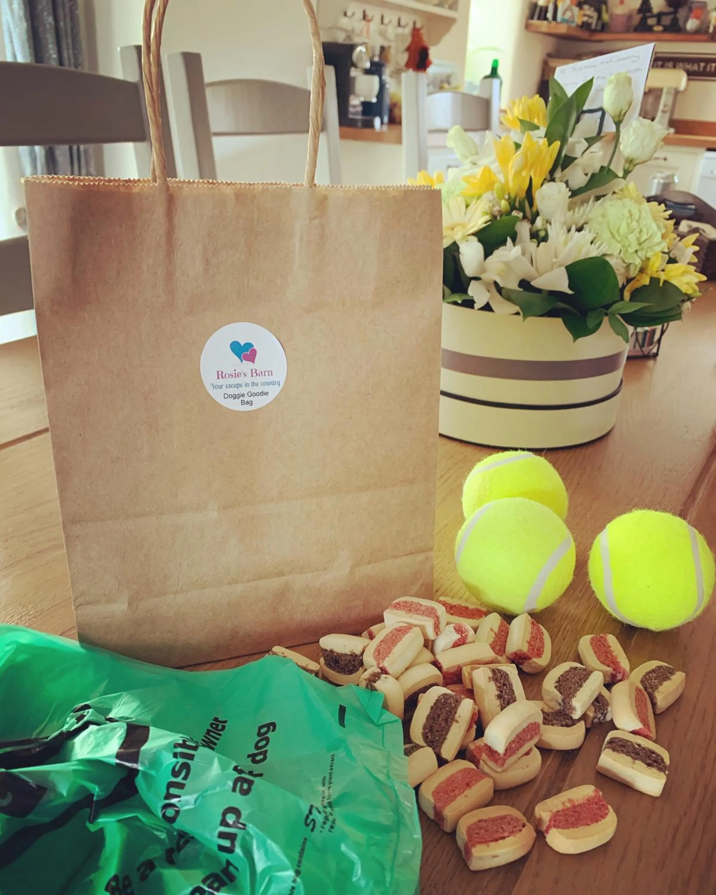 Pets in Rosie's Barn