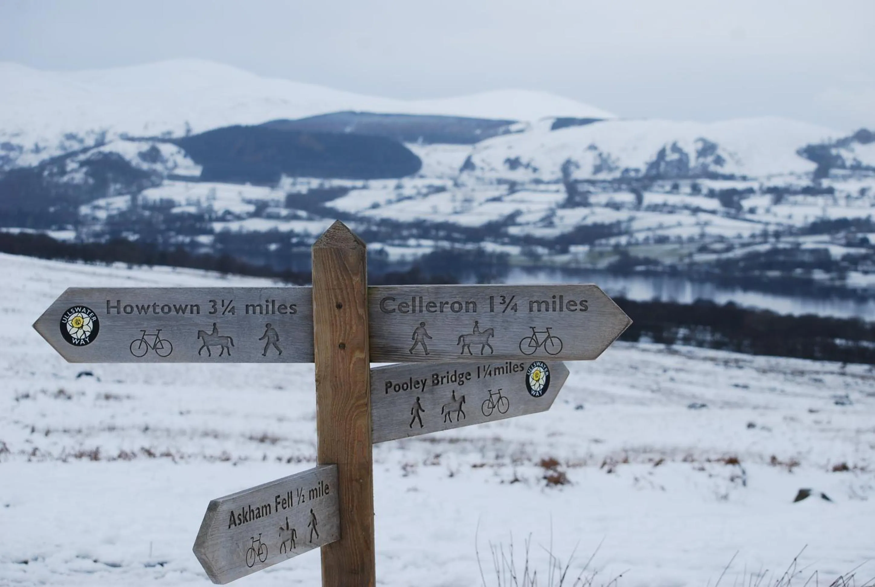 Natural landscape in Rosie's Barn
